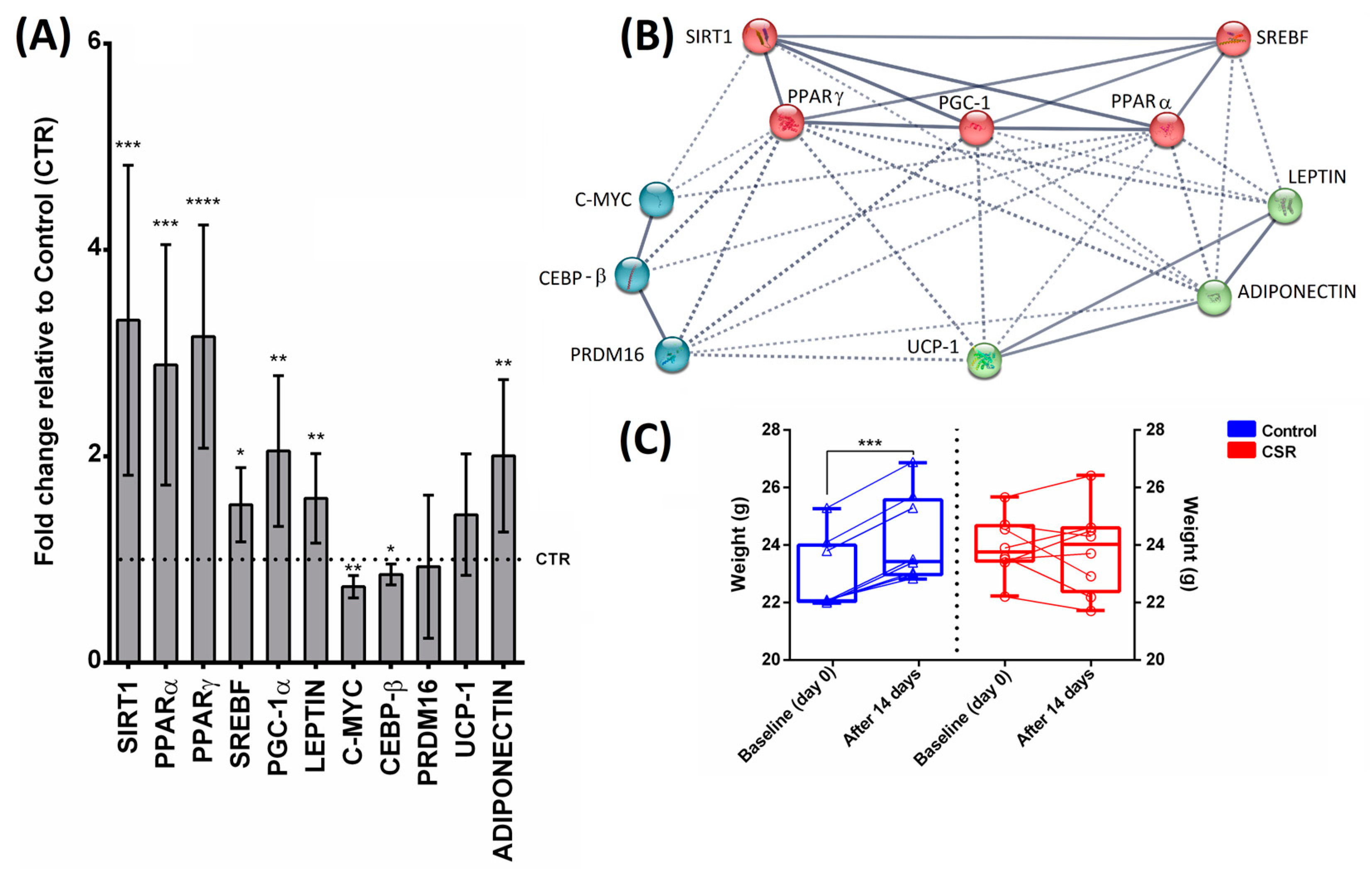Cimb 46 00138 g002 Cimb 46 00138 g002