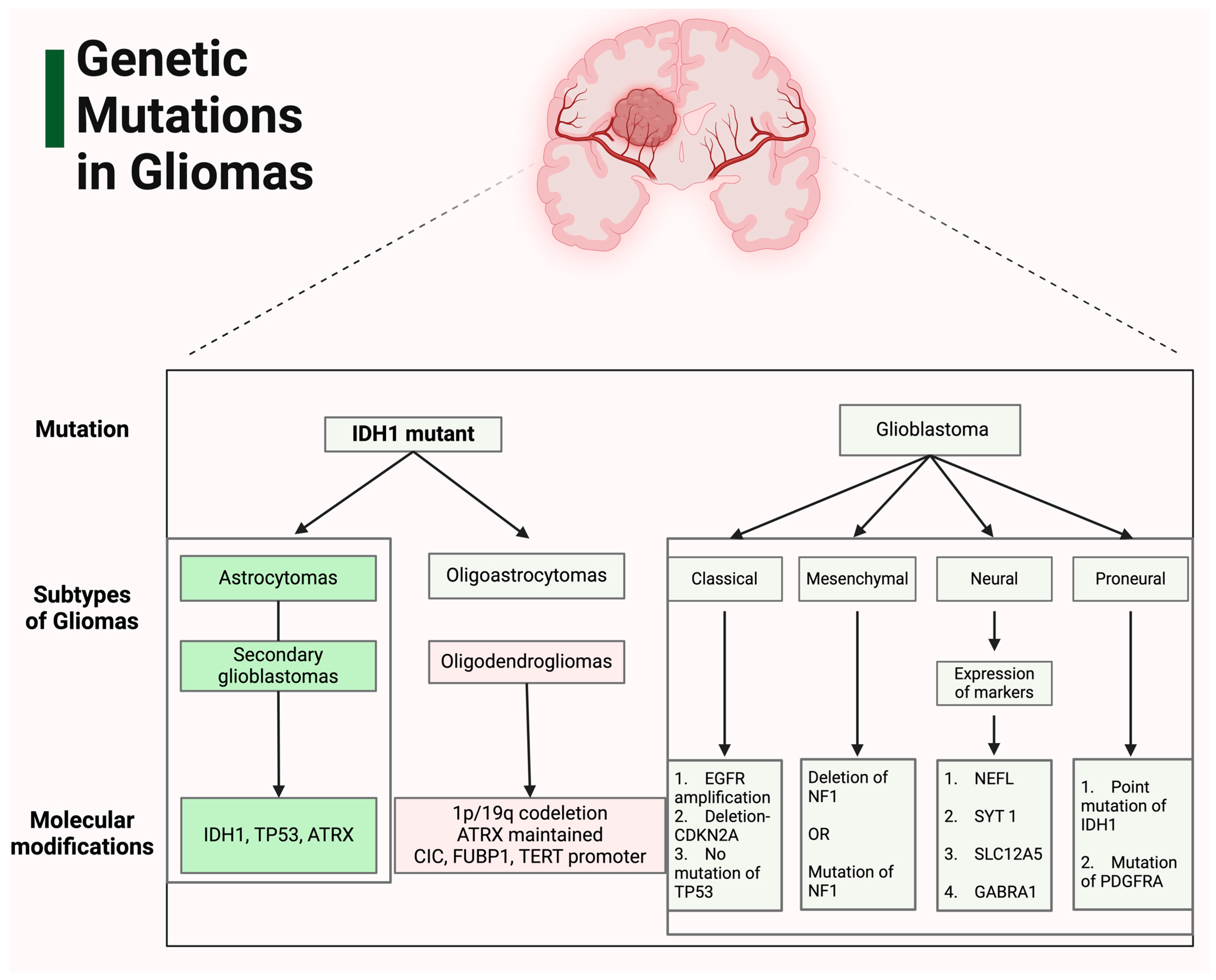 Cimb 46 00153 g001 Cimb 46 00153 g001