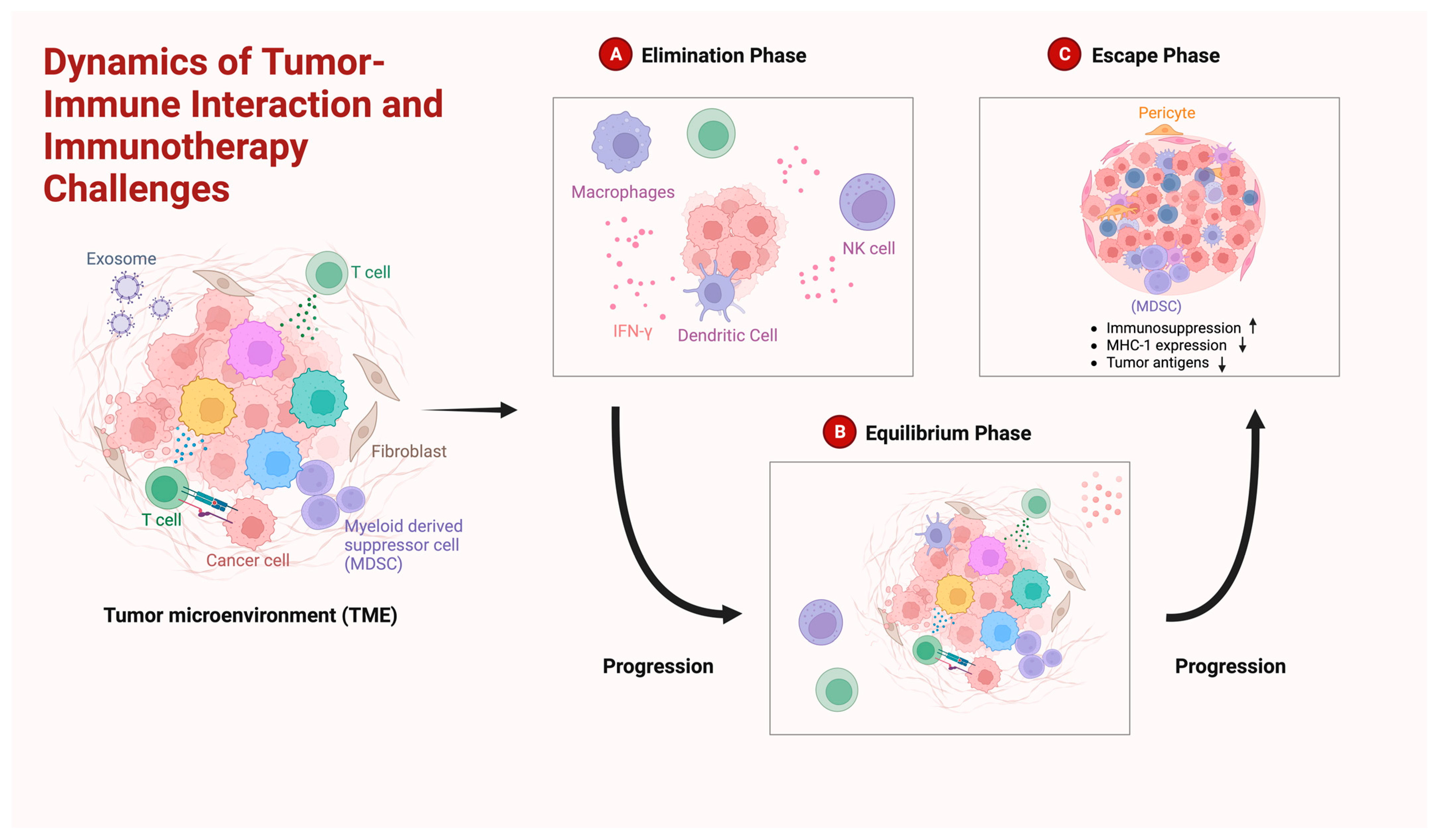 Cimb 46 00153 g002 Cimb 46 00153 g002