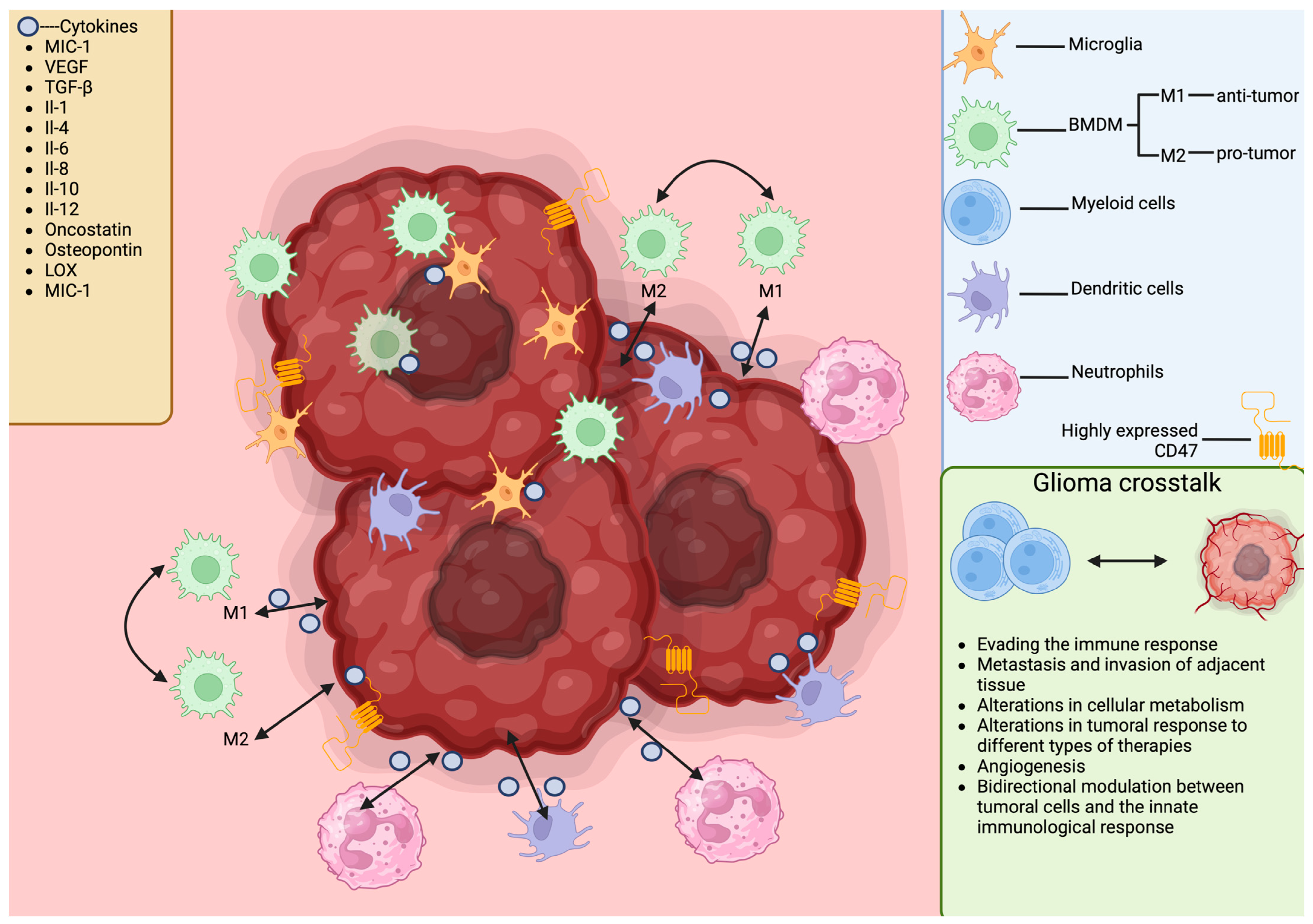 Cimb 46 00153 g003 Cimb 46 00153 g003