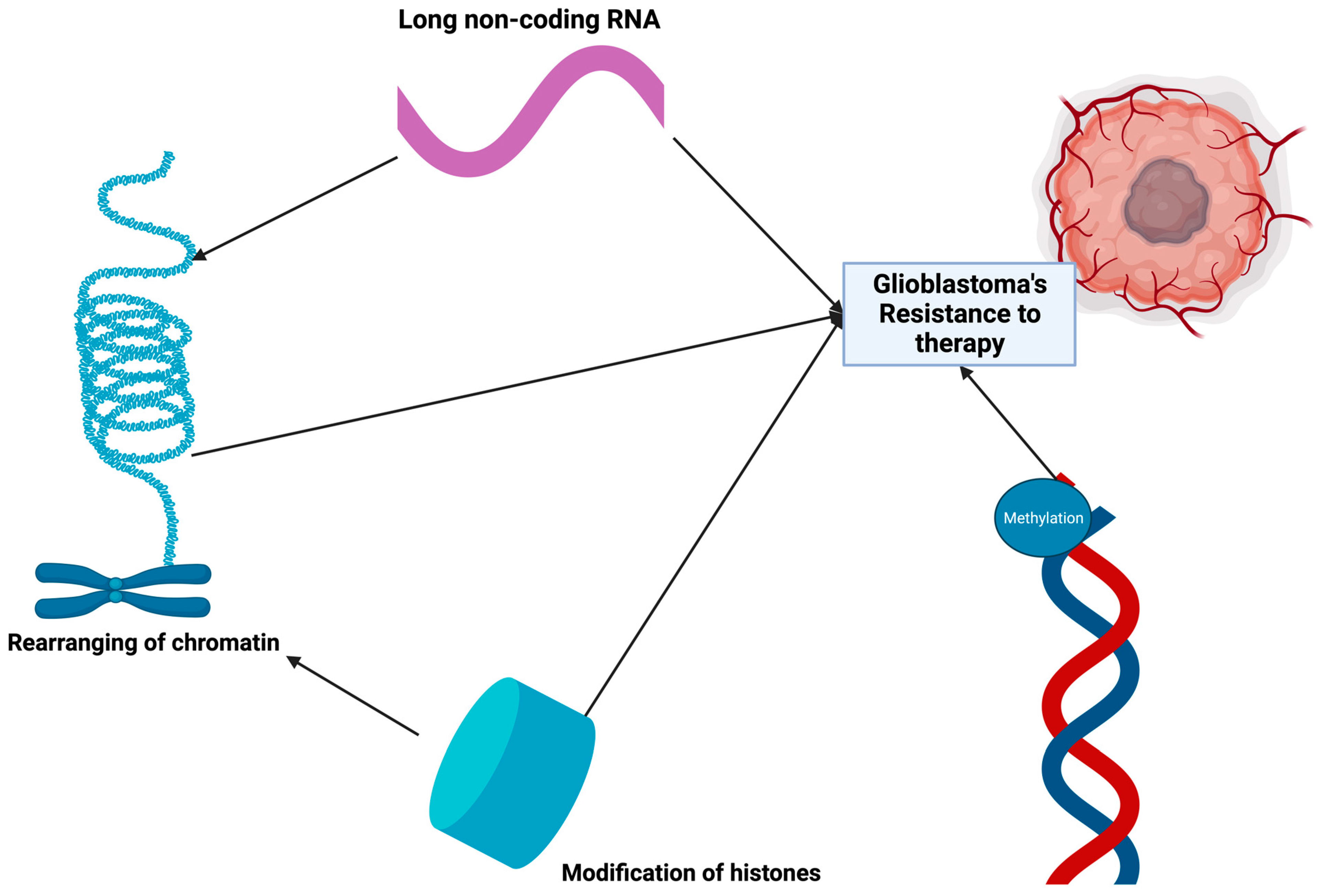 Cimb 46 00153 g004 Cimb 46 00153 g004