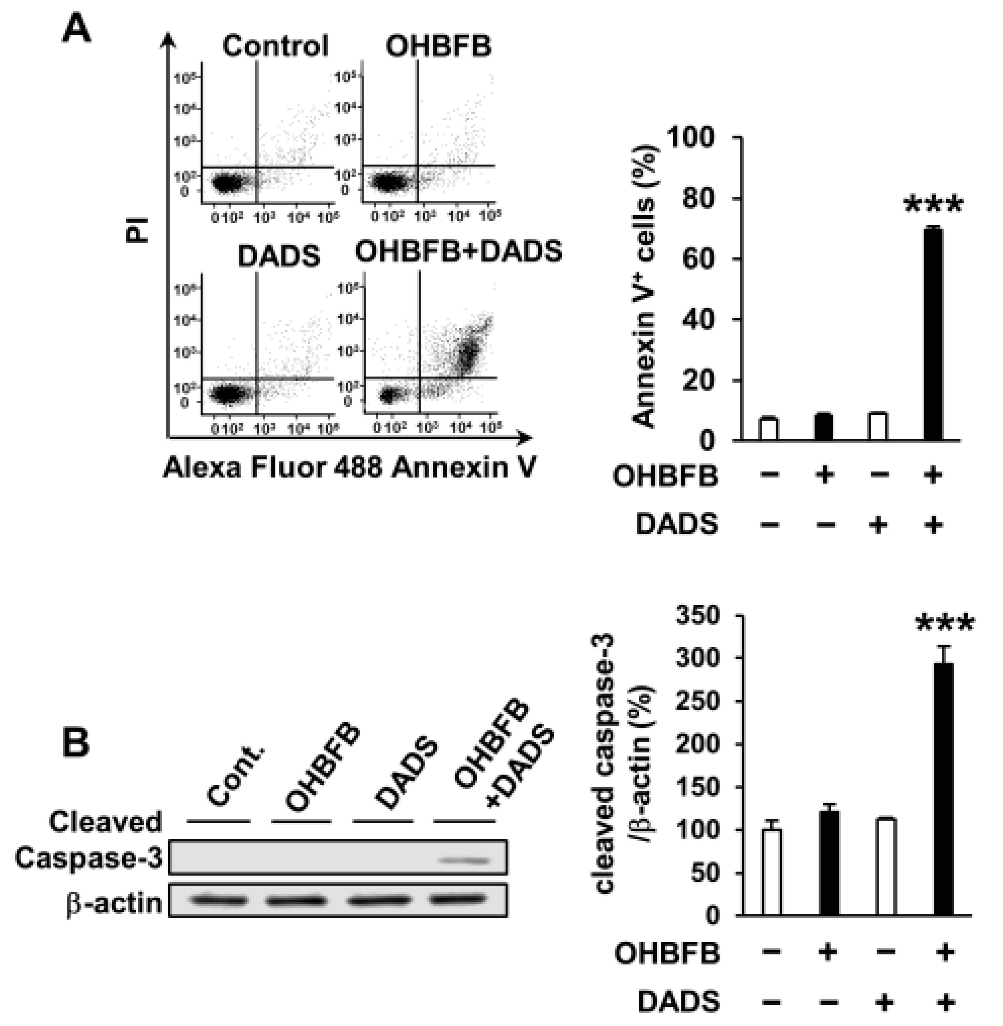 Cimb 46 00154 g002 Cimb 46 00154 g002