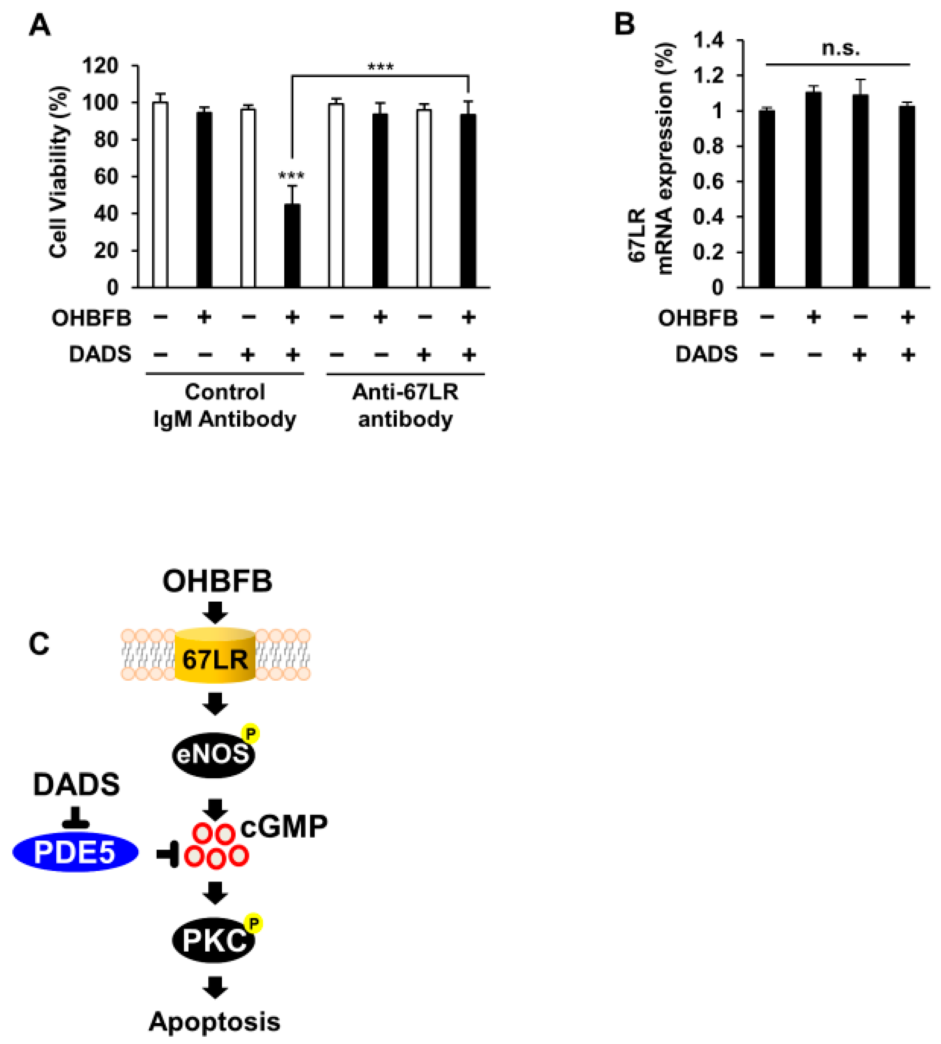 Cimb 46 00154 g005 Cimb 46 00154 g005