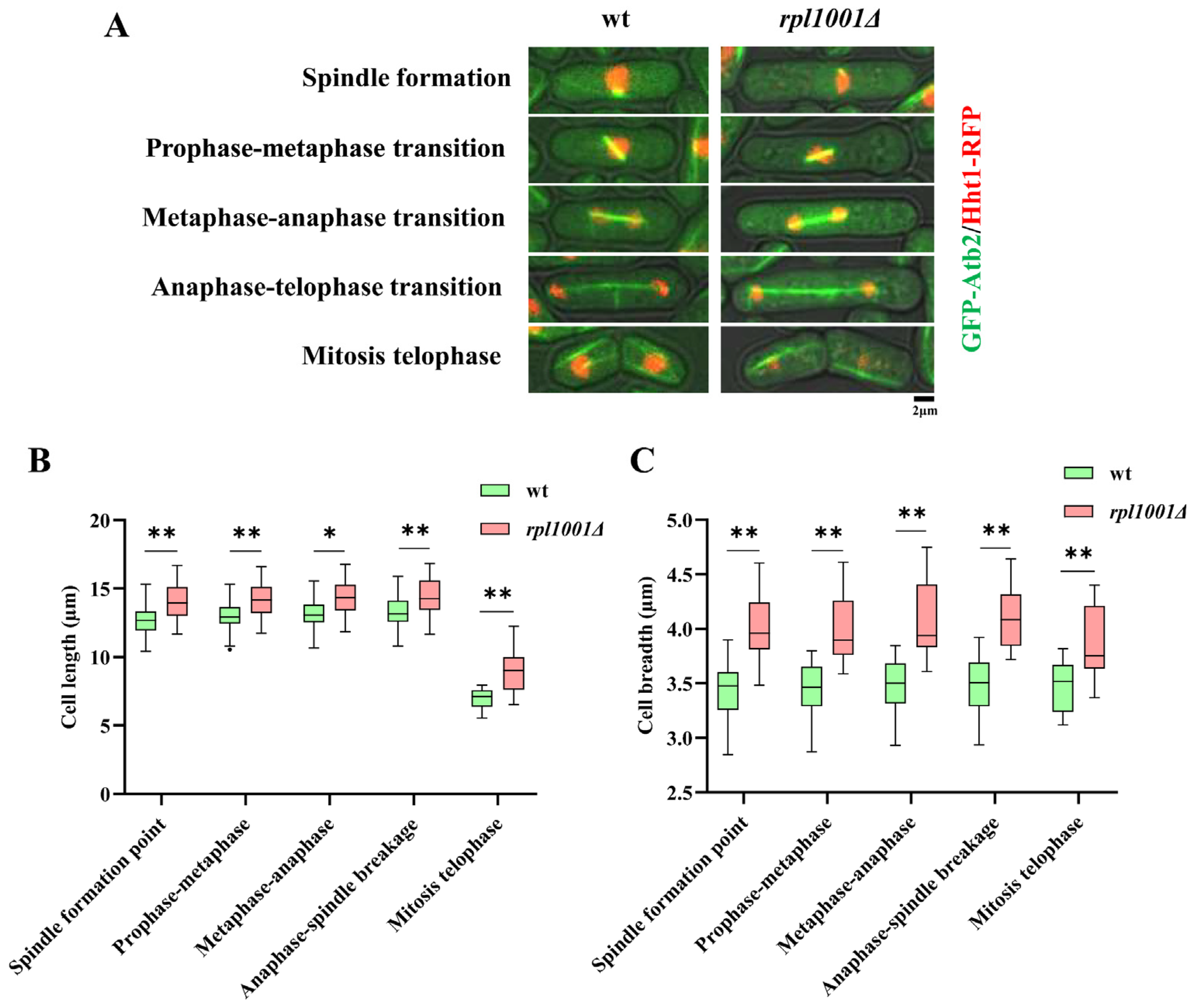 Cimb 46 00164 g005 Cimb 46 00164 g005