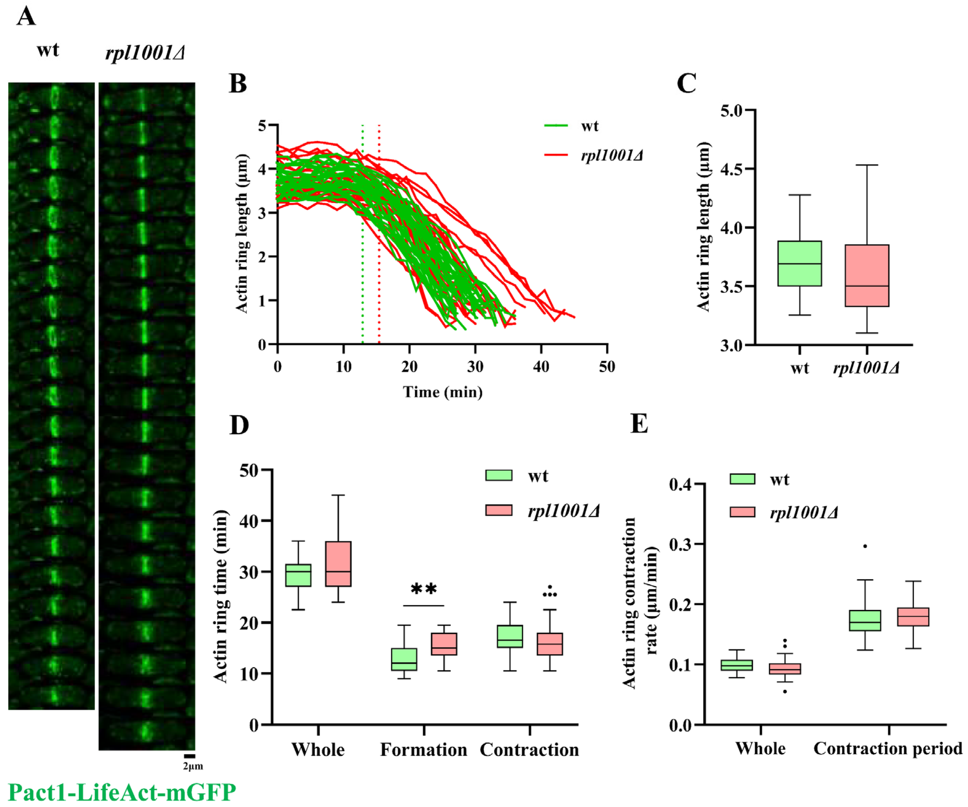 Cimb 46 00164 g006 Cimb 46 00164 g006