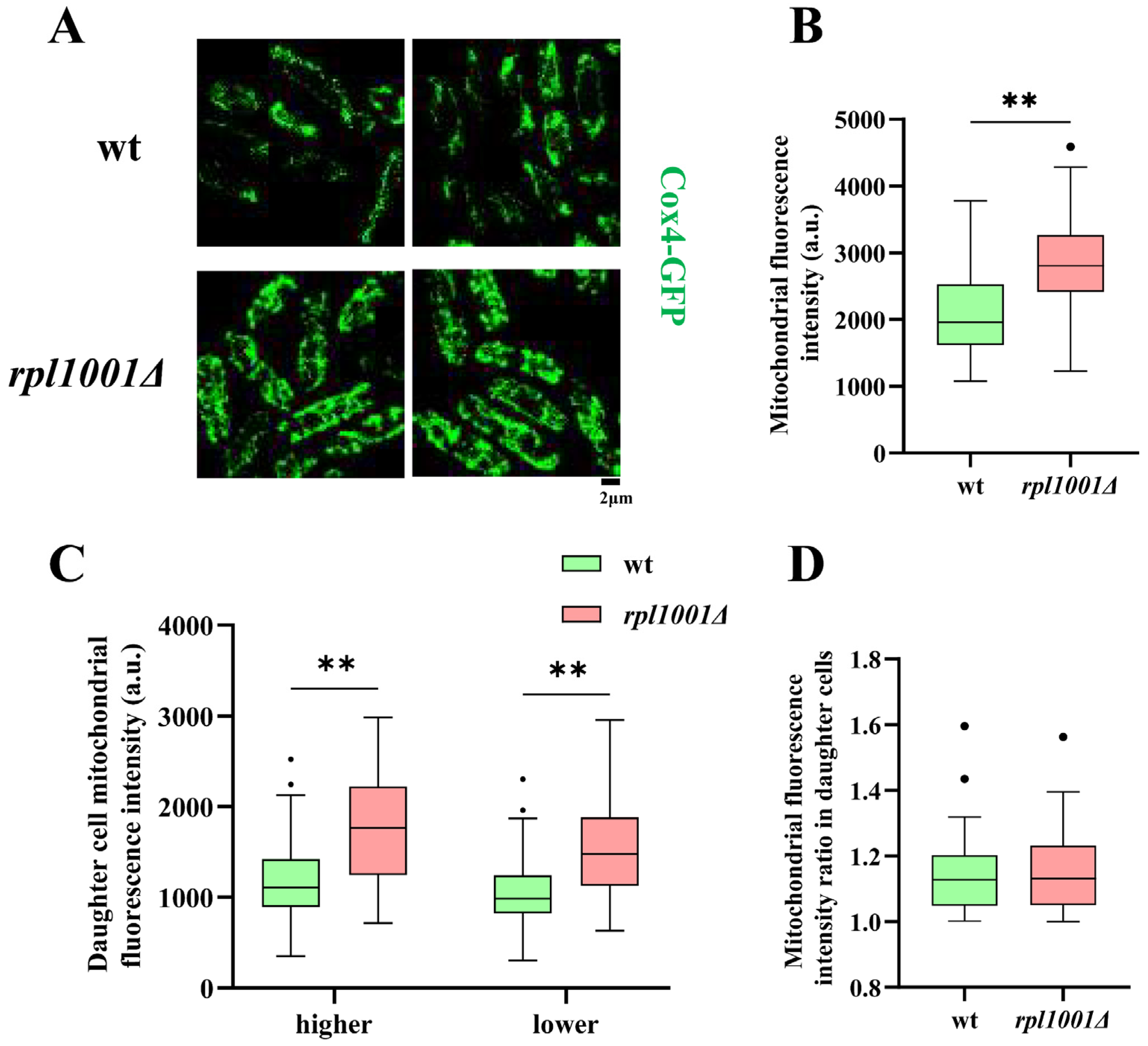 Cimb 46 00164 g008 Cimb 46 00164 g008