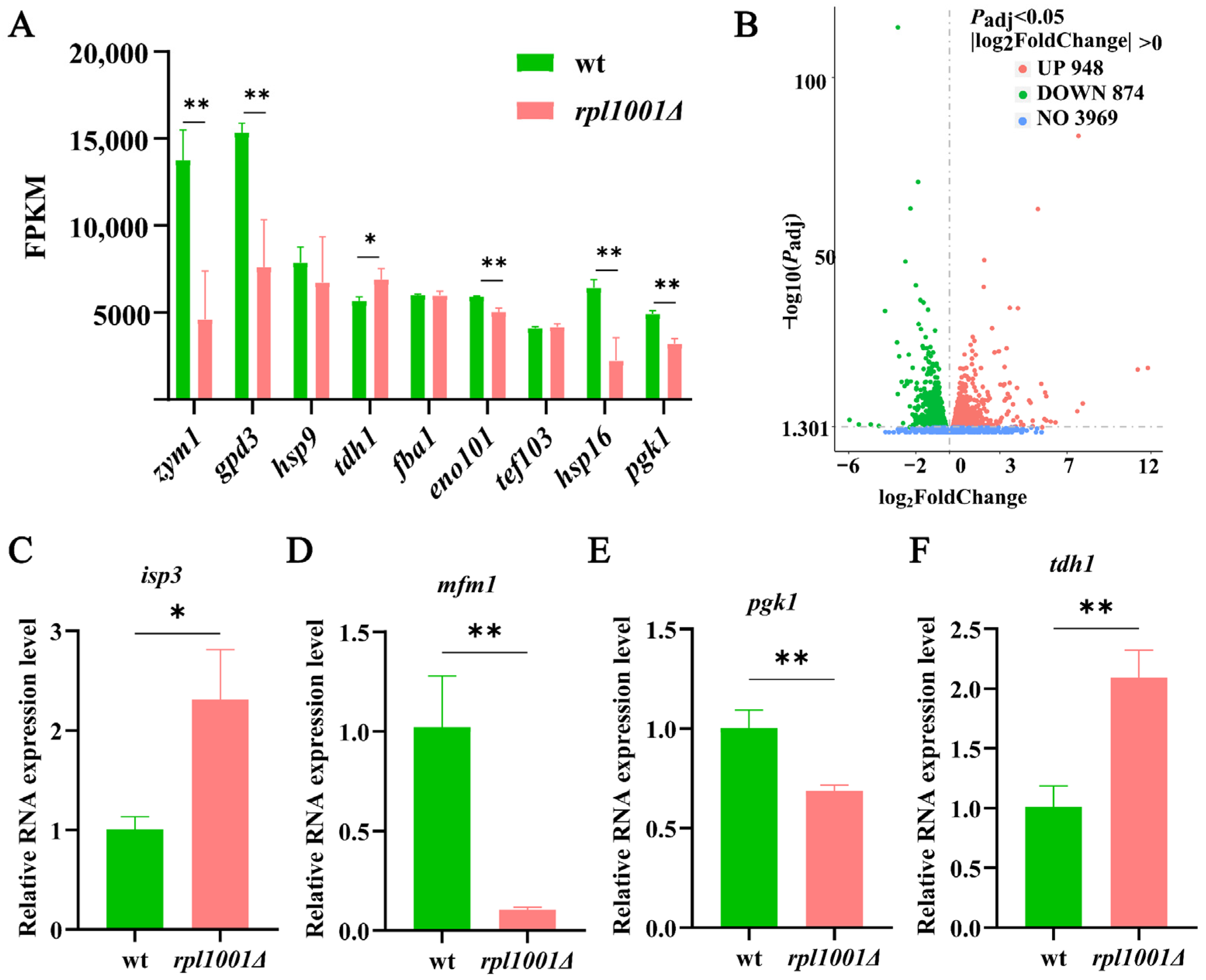 Cimb 46 00164 g009 Cimb 46 00164 g009
