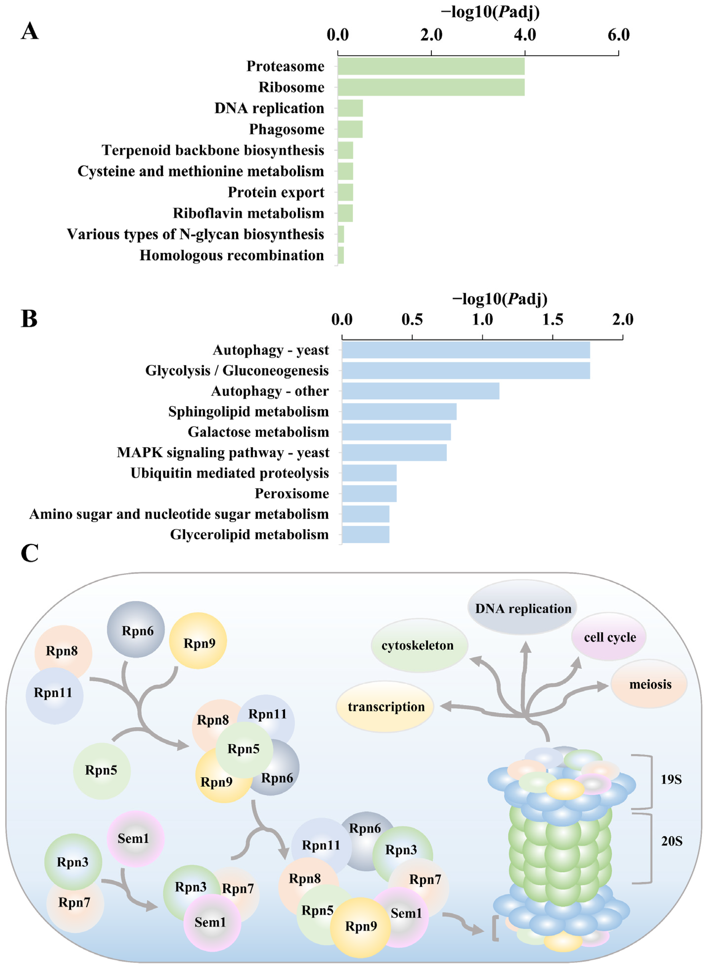Cimb 46 00164 g011 Cimb 46 00164 g011