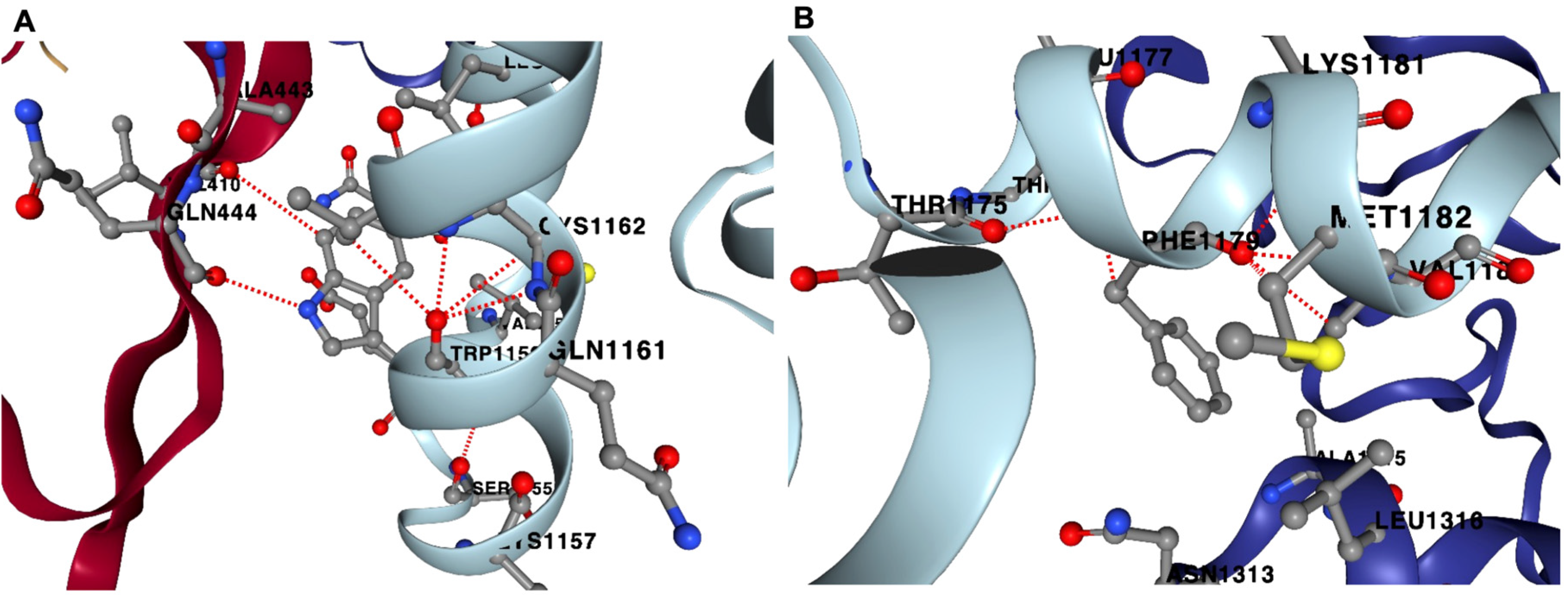 Cimb 46 00165 g008 Cimb 46 00165 g008