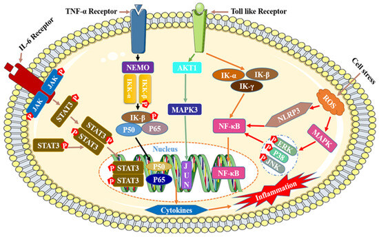 Advances in Flavonoid Research: Sources, Biological