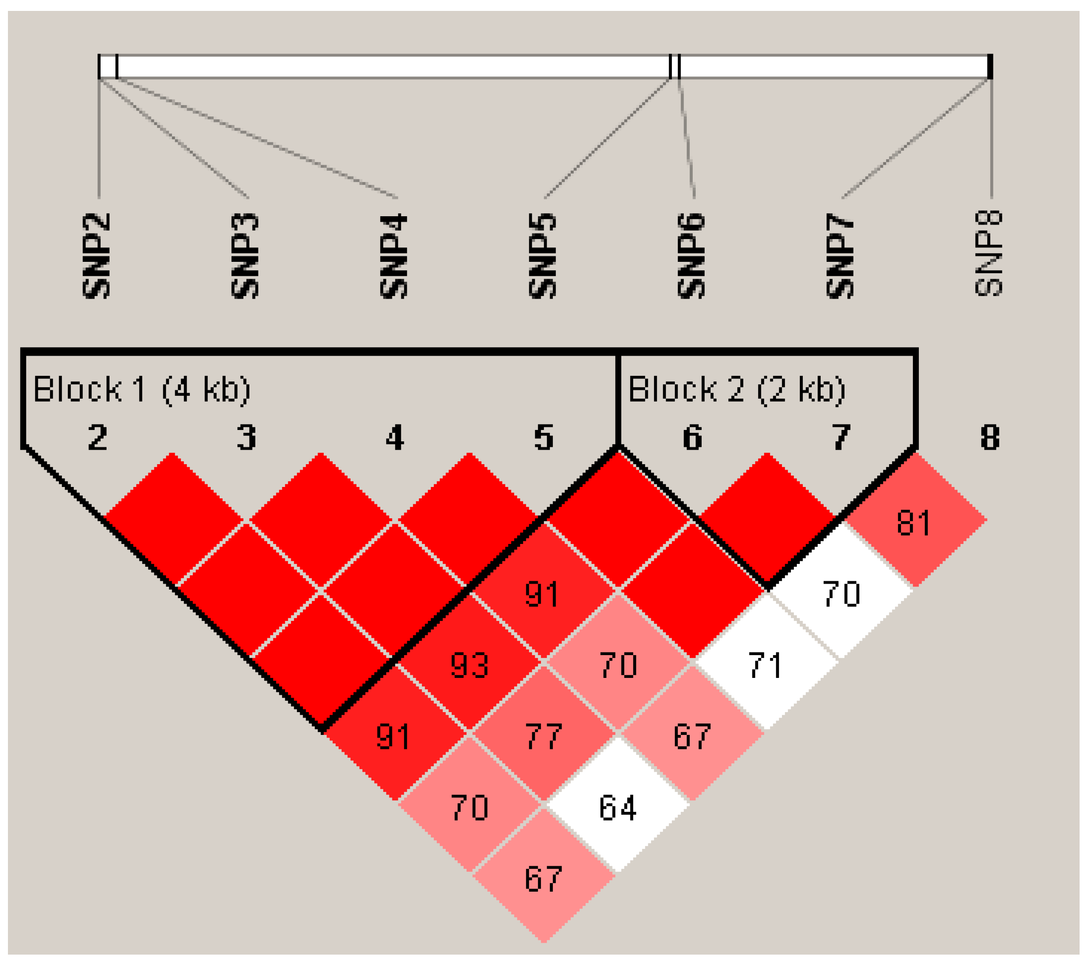 Cimb 46 00185 g005 Cimb 46 00185 g005