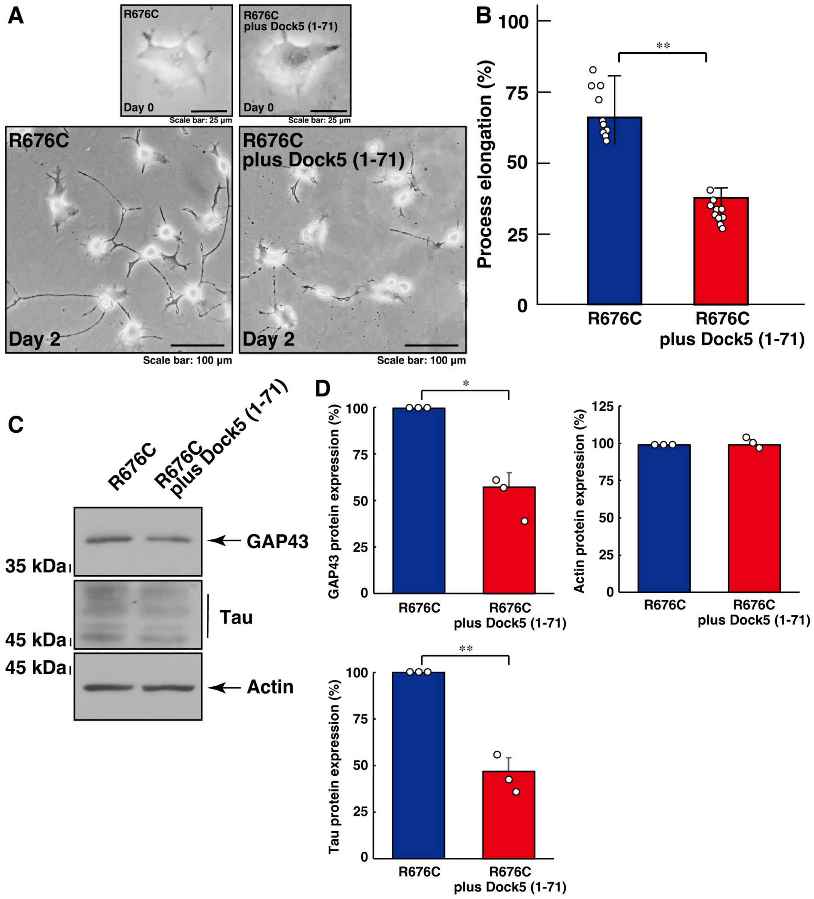 Cimb 46 00194 g003 Cimb 46 00194 g003