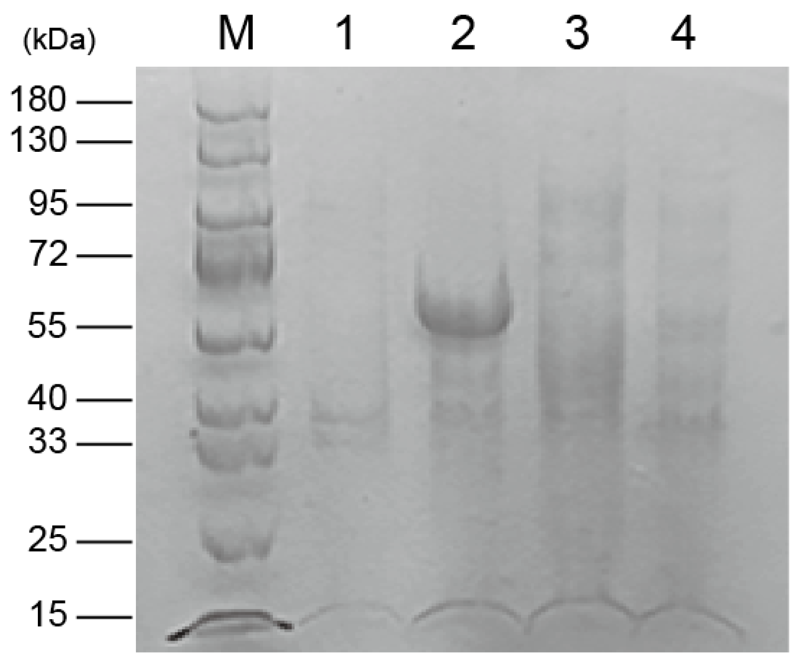 Cimb 46 00195 g002 Cimb 46 00195 g002