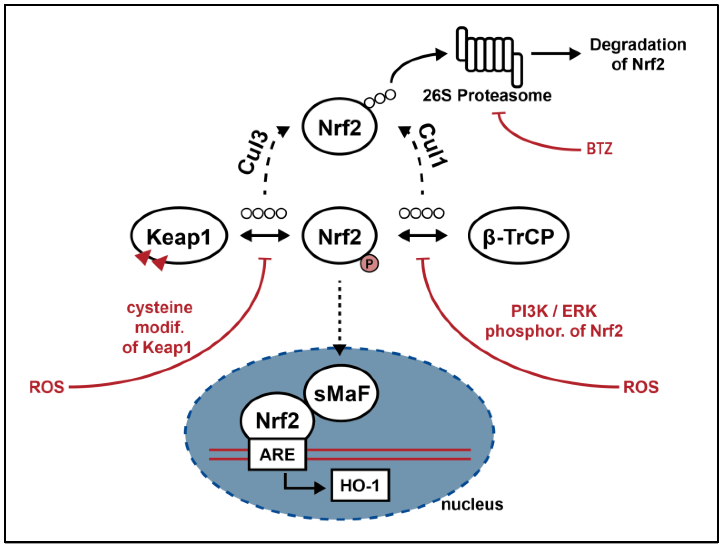 Cimb 46 00200 g001 Cimb 46 00200 g001