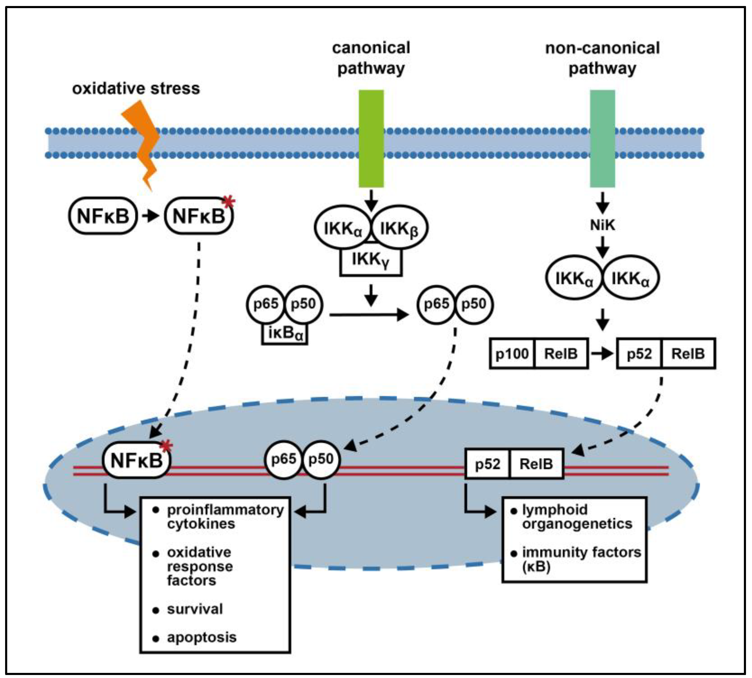 Cimb 46 00200 g002 Cimb 46 00200 g002