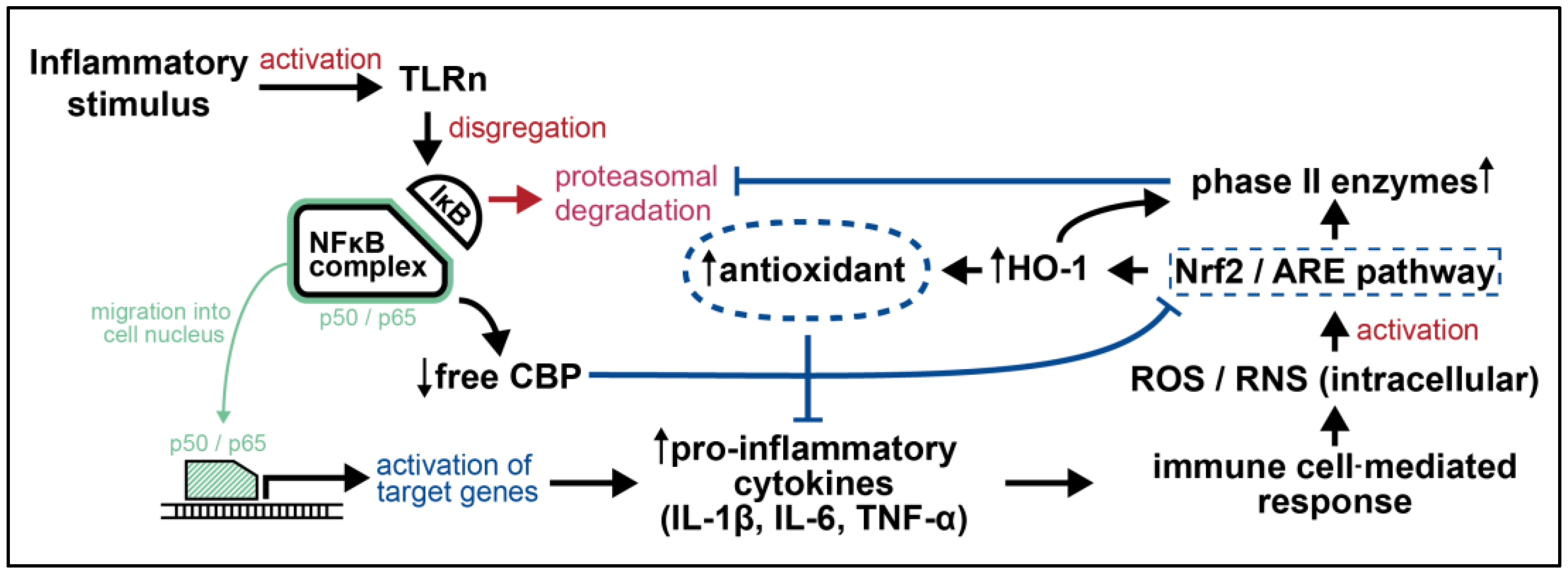 Cimb 46 00200 g003 Cimb 46 00200 g003