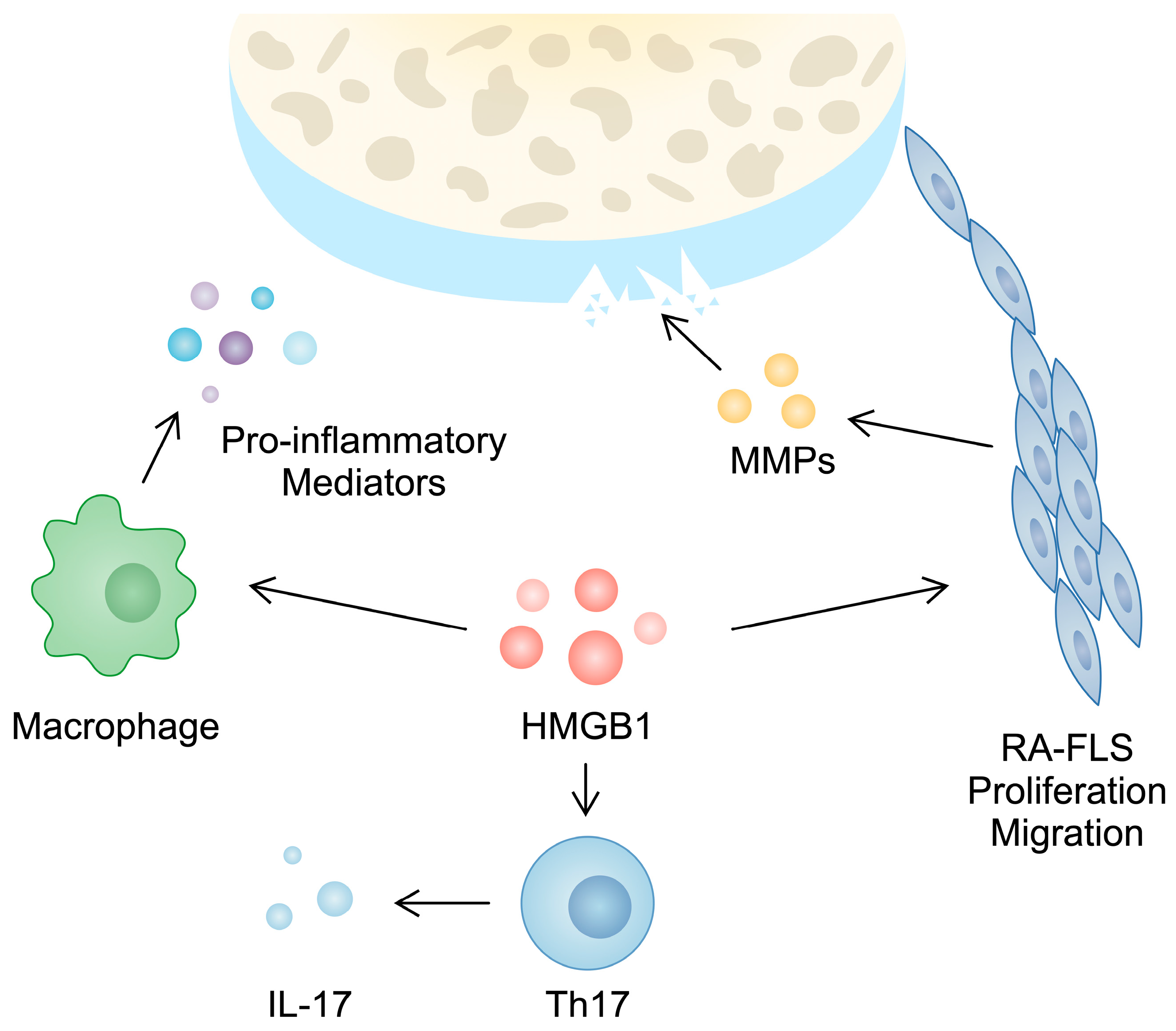 Cimb 46 00228 g001 Cimb 46 00228 g001