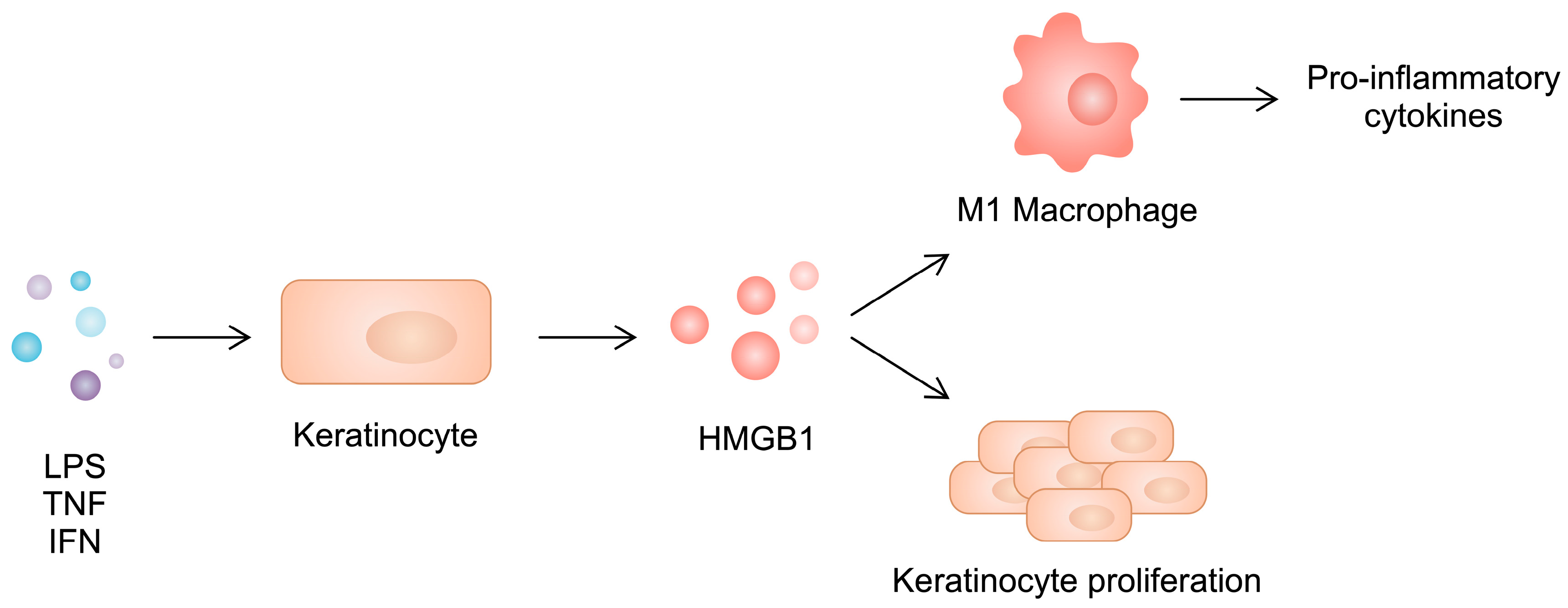 Cimb 46 00228 g004 Cimb 46 00228 g004