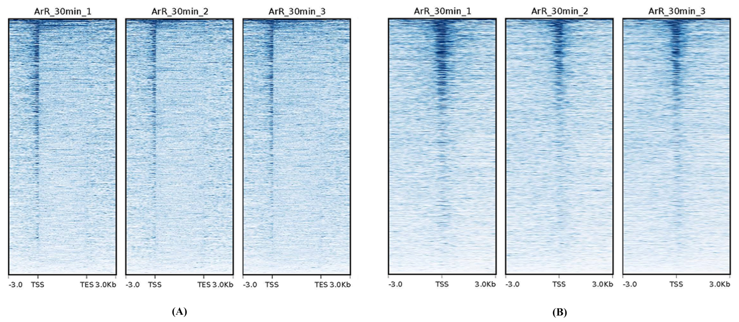 Cimb 46 00229 g002 Cimb 46 00229 g002