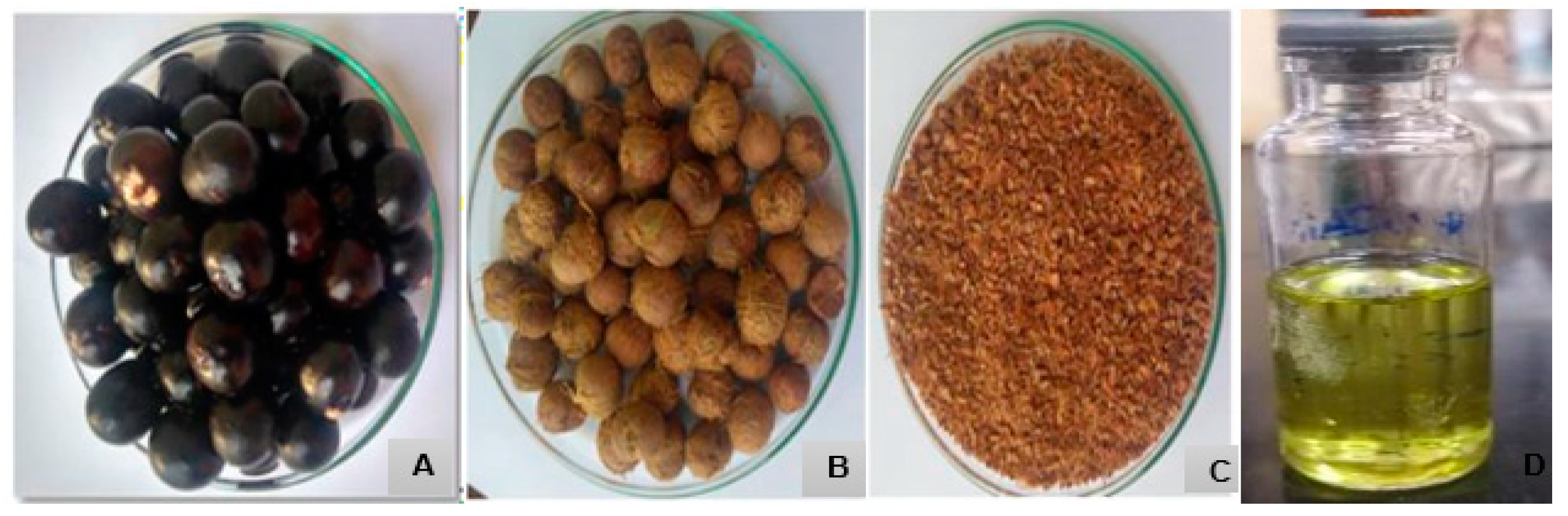 Cimb 46 00235 g001 Cimb 46 00235 g001