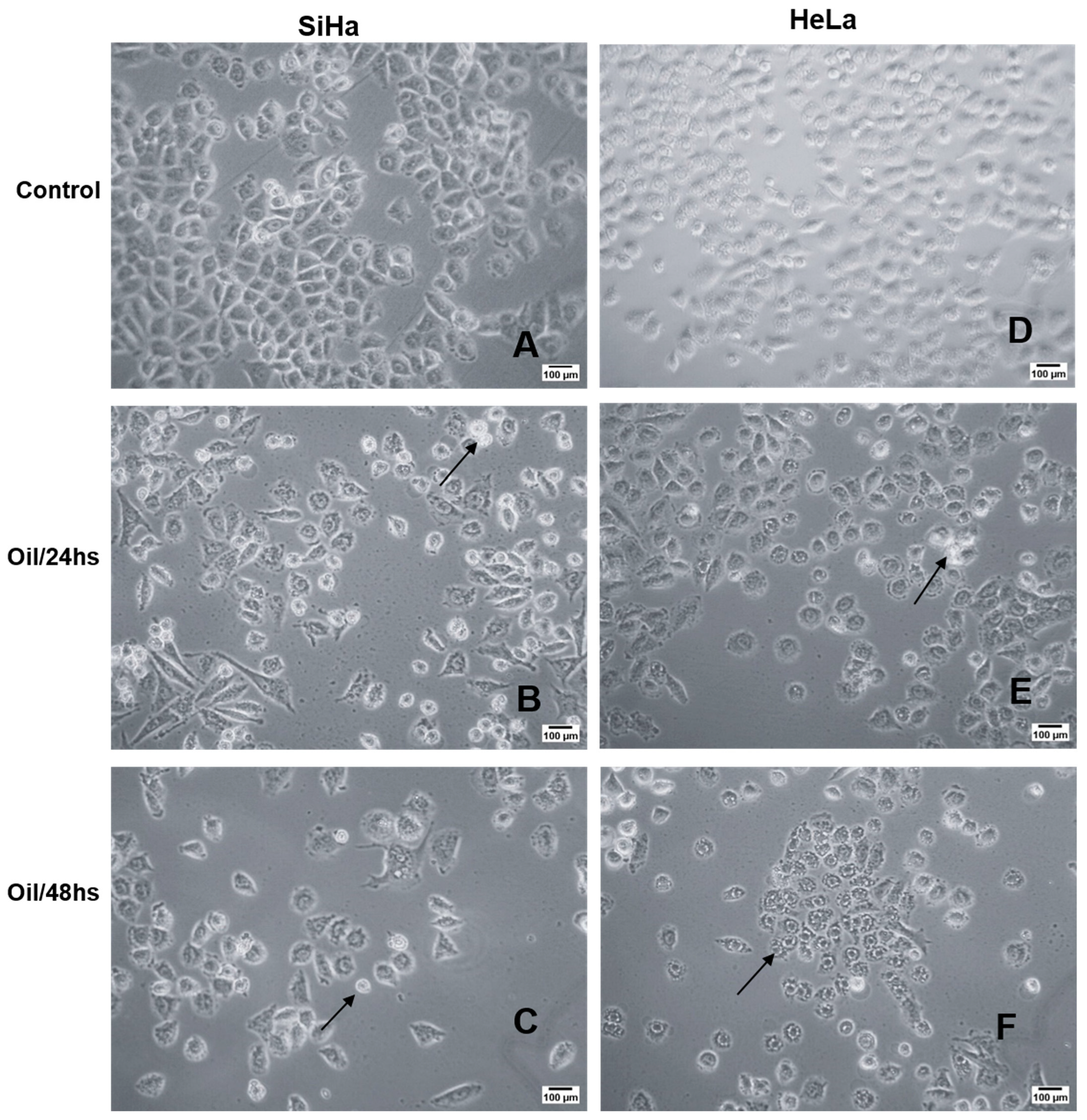 Cimb 46 00235 g008 Cimb 46 00235 g008