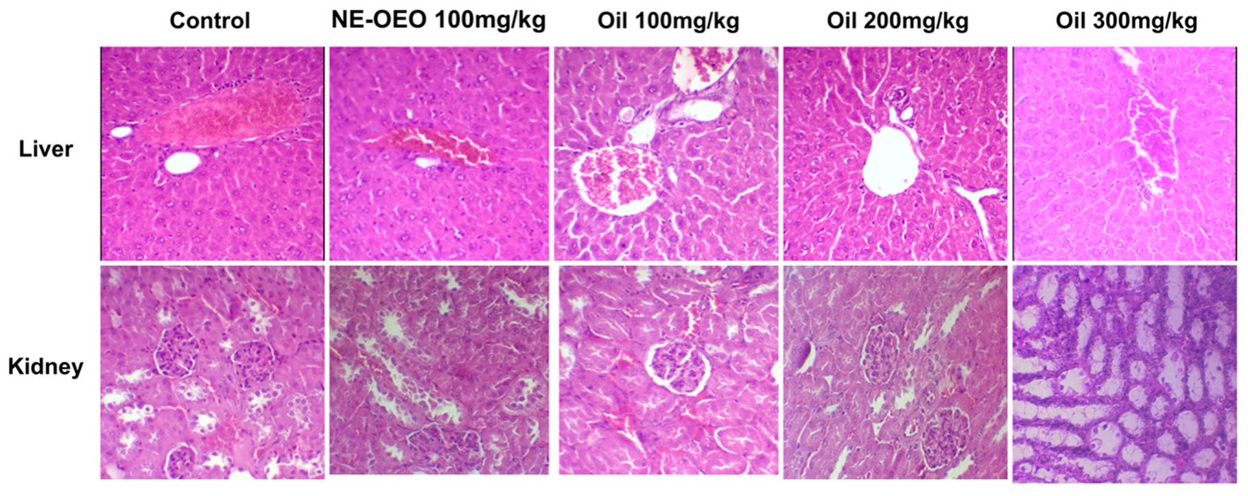 Cimb 46 00235 g015 Cimb 46 00235 g015
