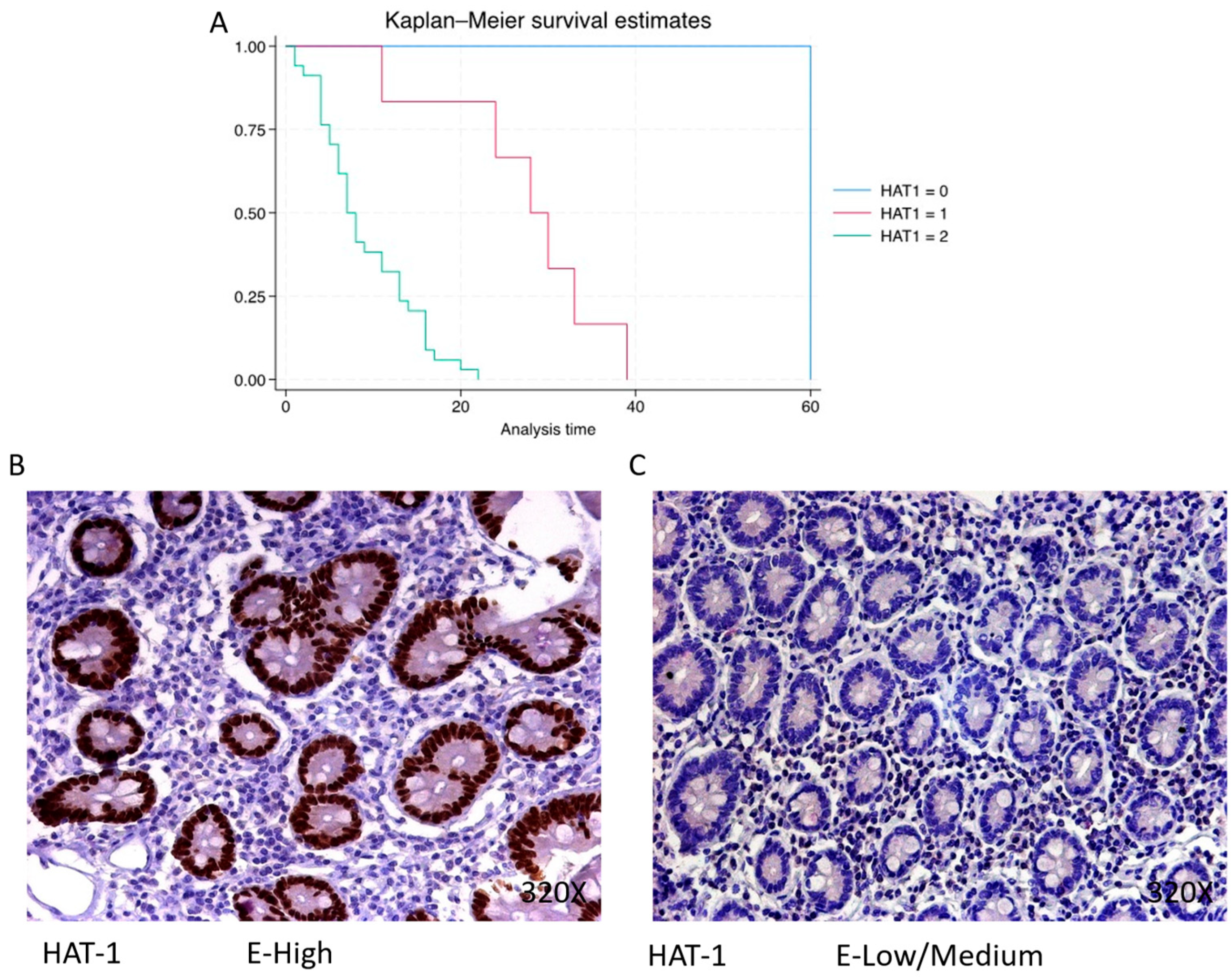 Cimb 46 00239 g001 Cimb 46 00239 g001