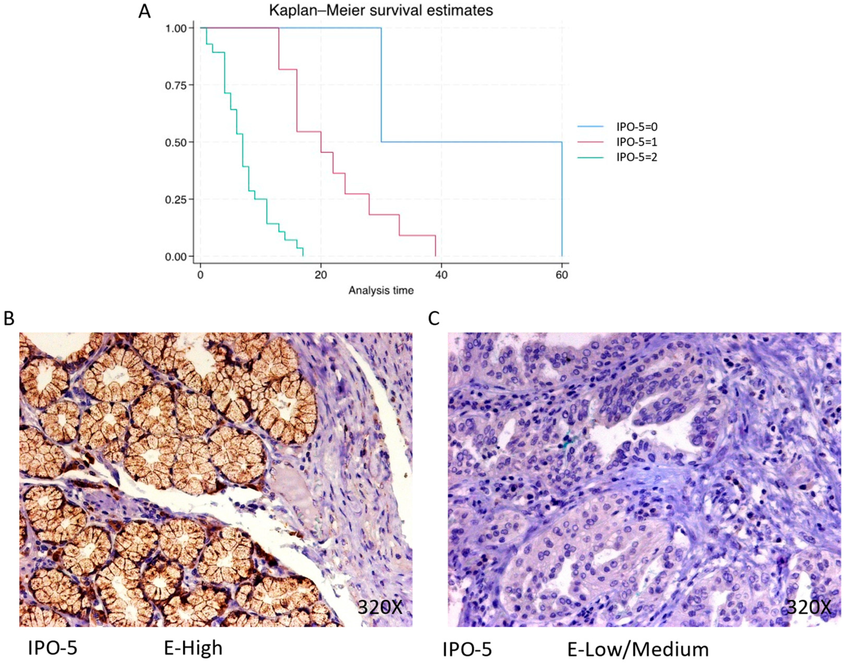 Cimb 46 00239 g003 Cimb 46 00239 g003