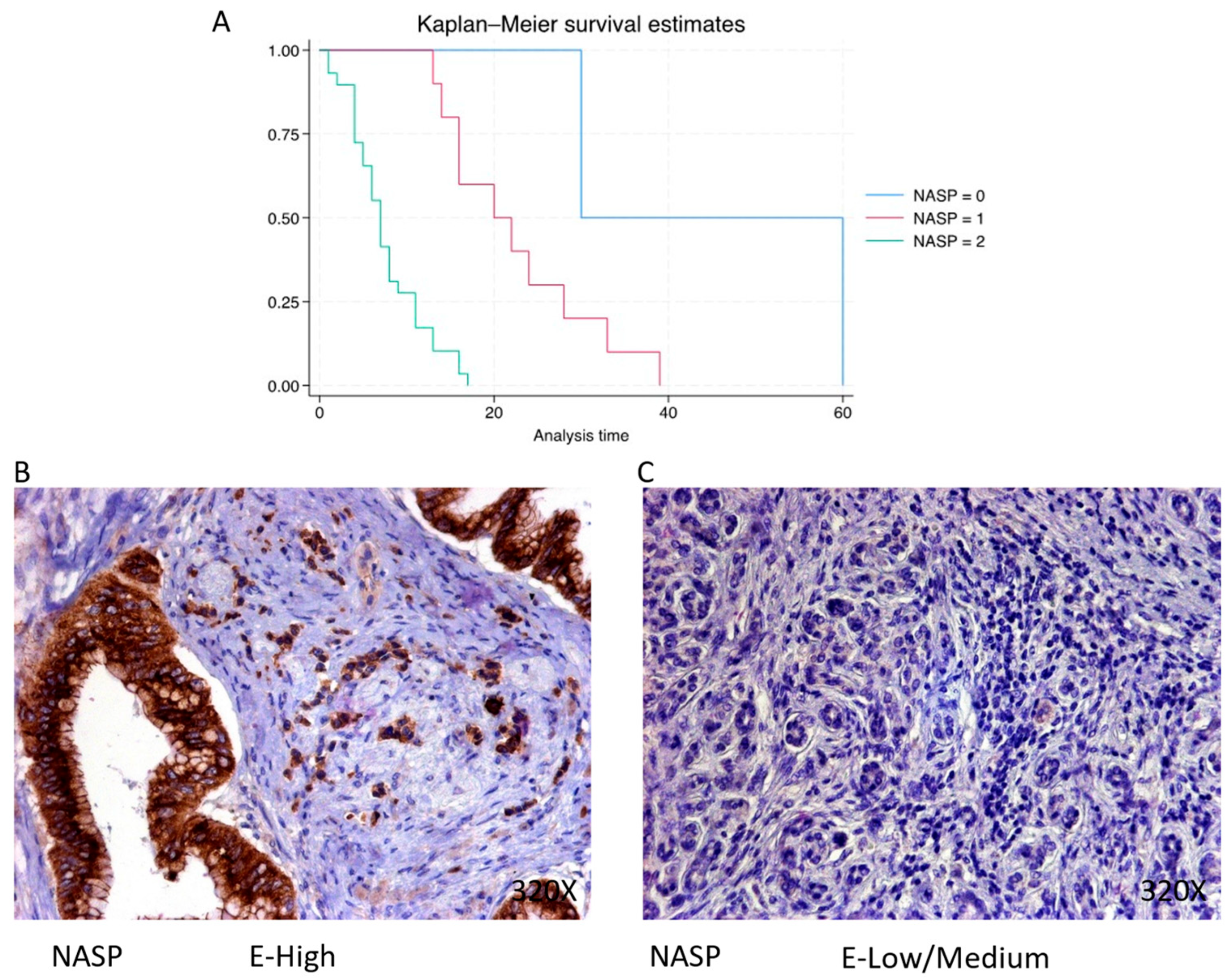 Cimb 46 00239 g004 Cimb 46 00239 g004