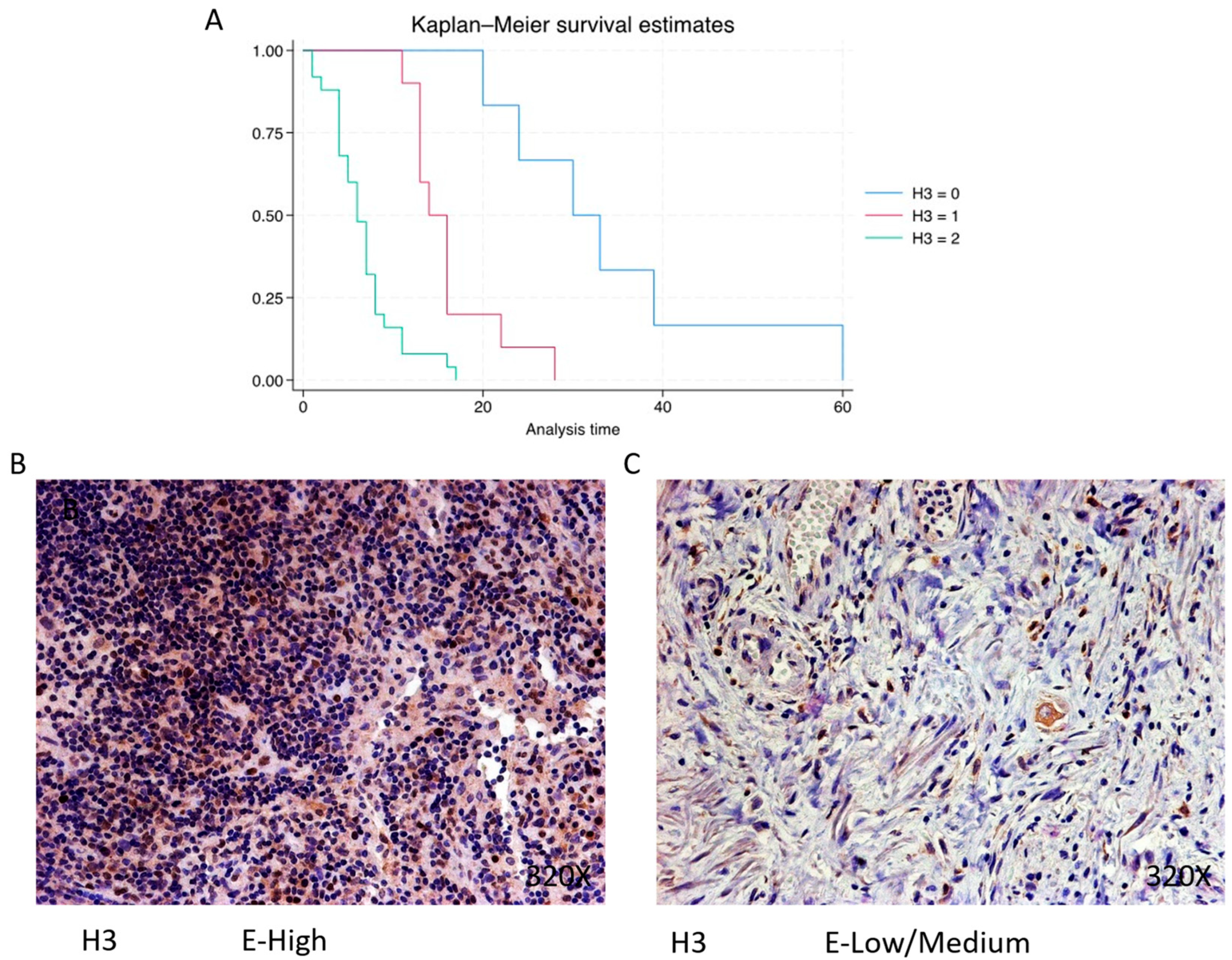 Cimb 46 00239 g006 Cimb 46 00239 g006