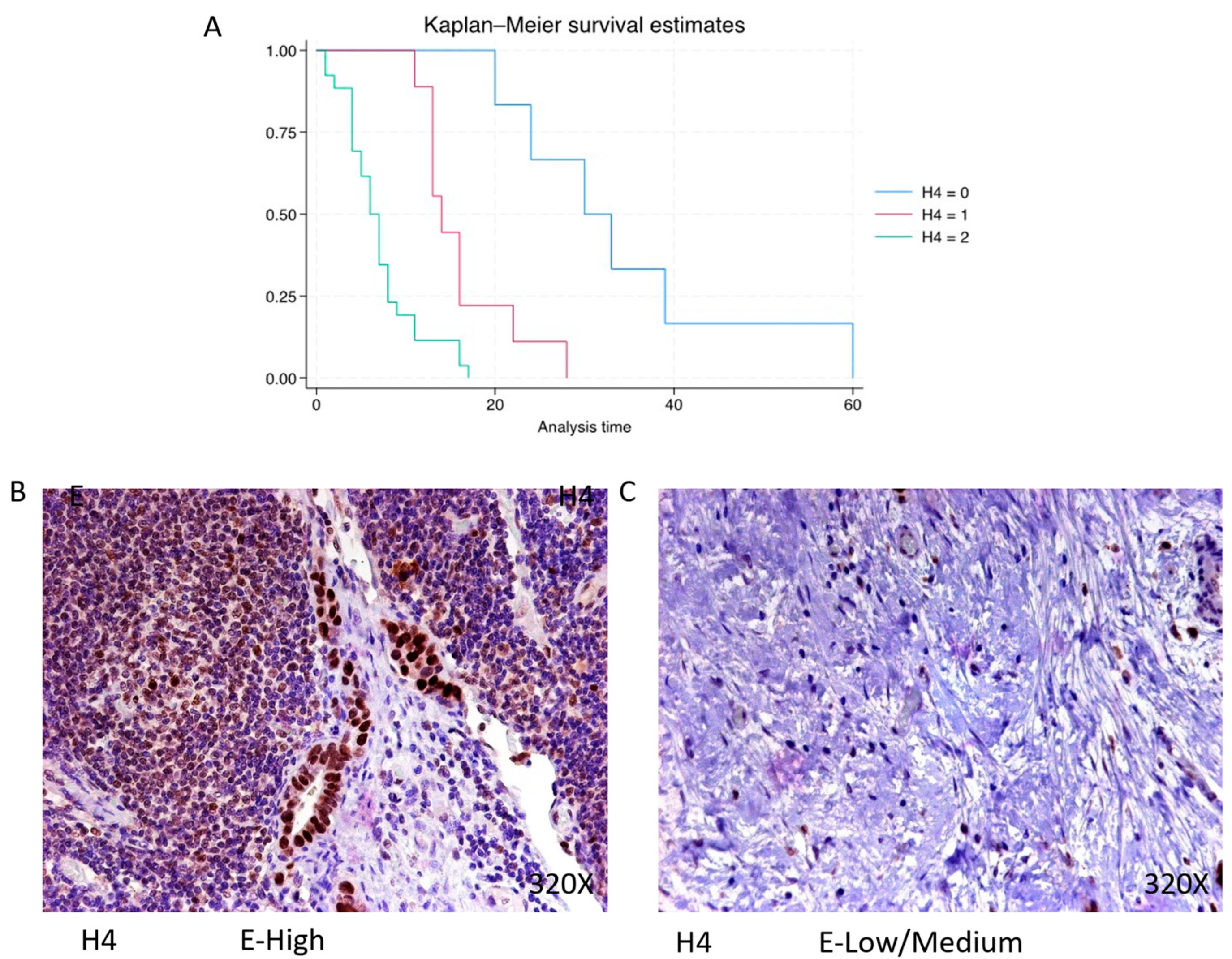 Cimb 46 00239 g007 Cimb 46 00239 g007