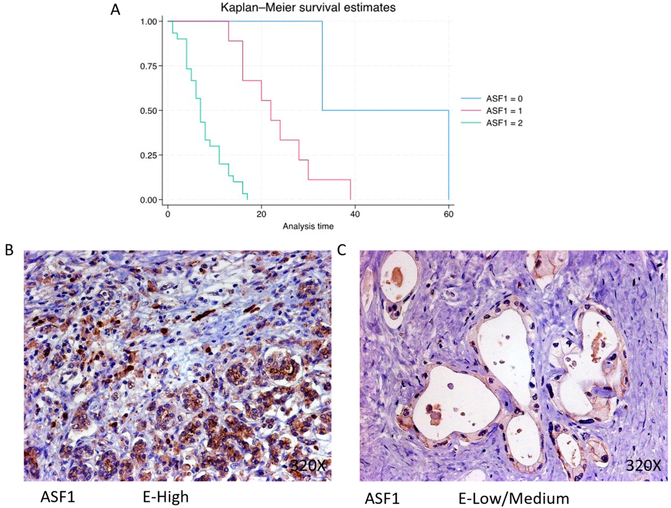 Cimb 46 00239 g008 Cimb 46 00239 g008