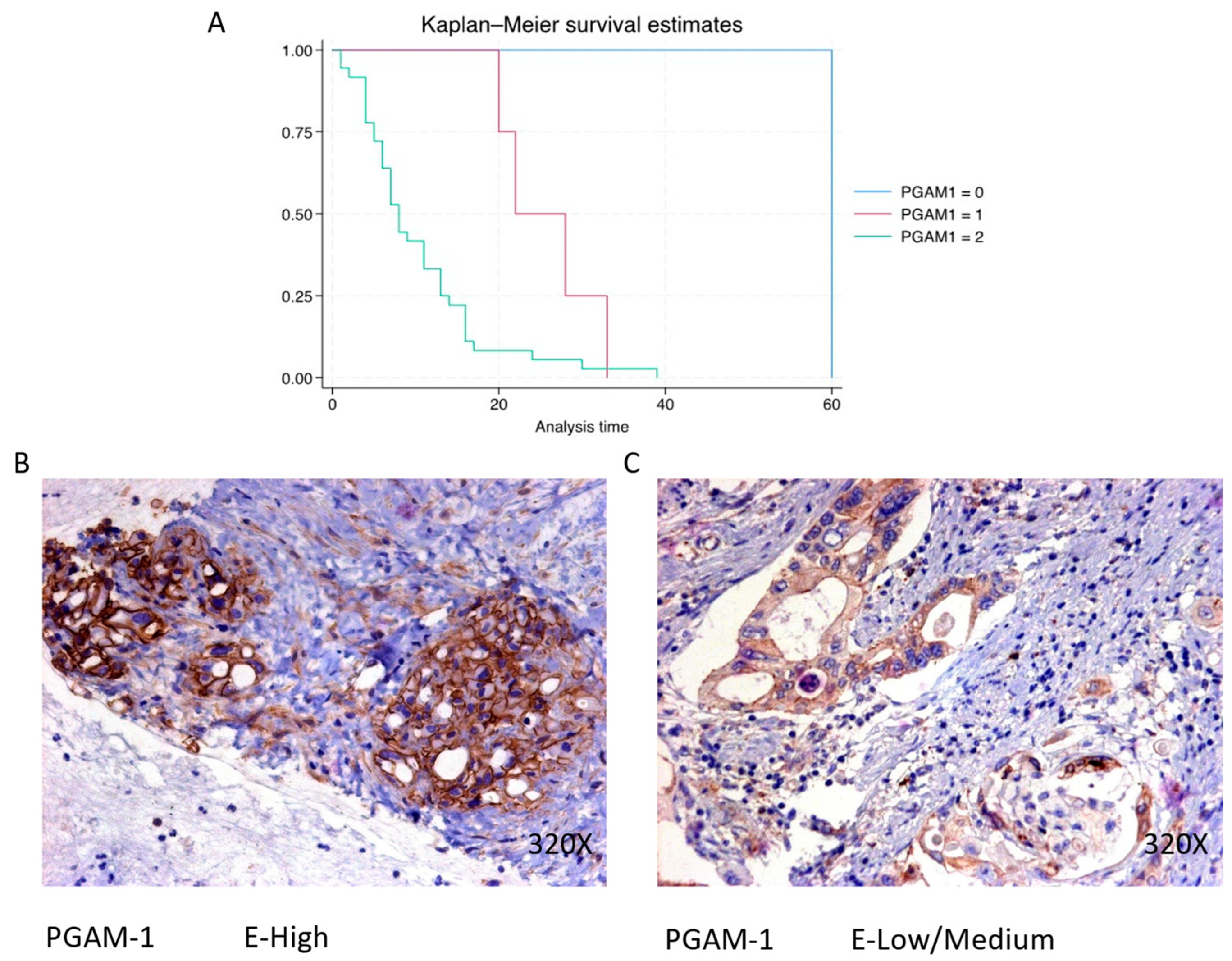 Cimb 46 00239 g009 Cimb 46 00239 g009