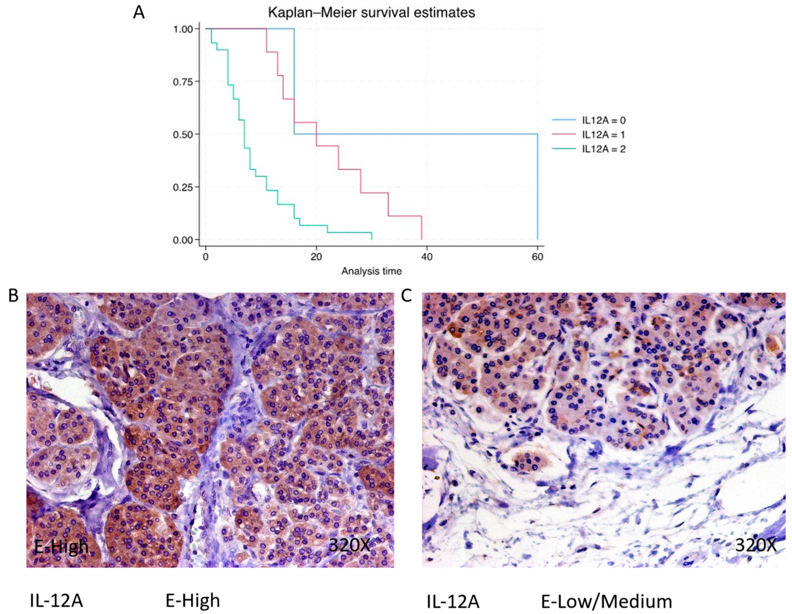 Cimb 46 00239 g011 Cimb 46 00239 g011