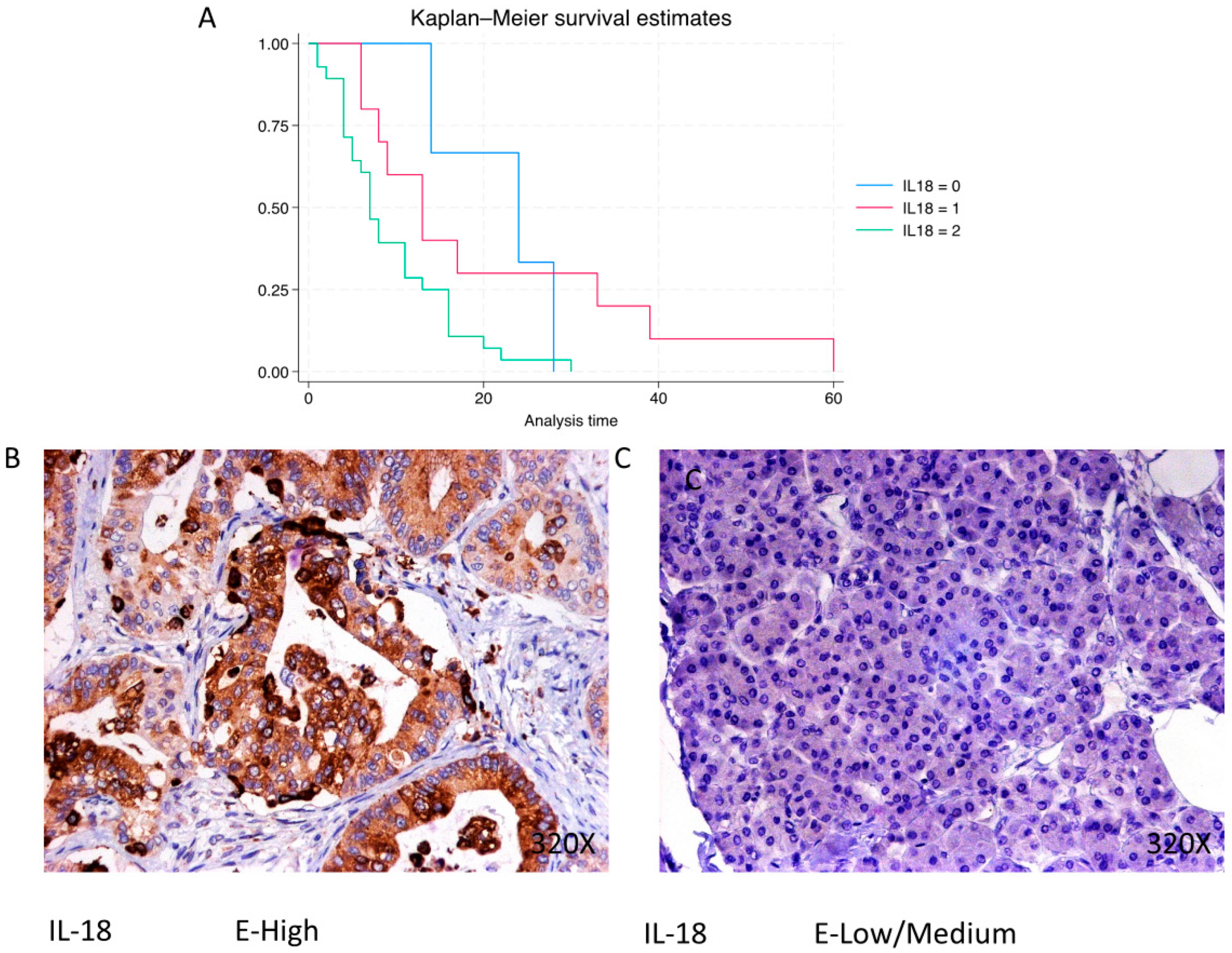Cimb 46 00239 g012 Cimb 46 00239 g012