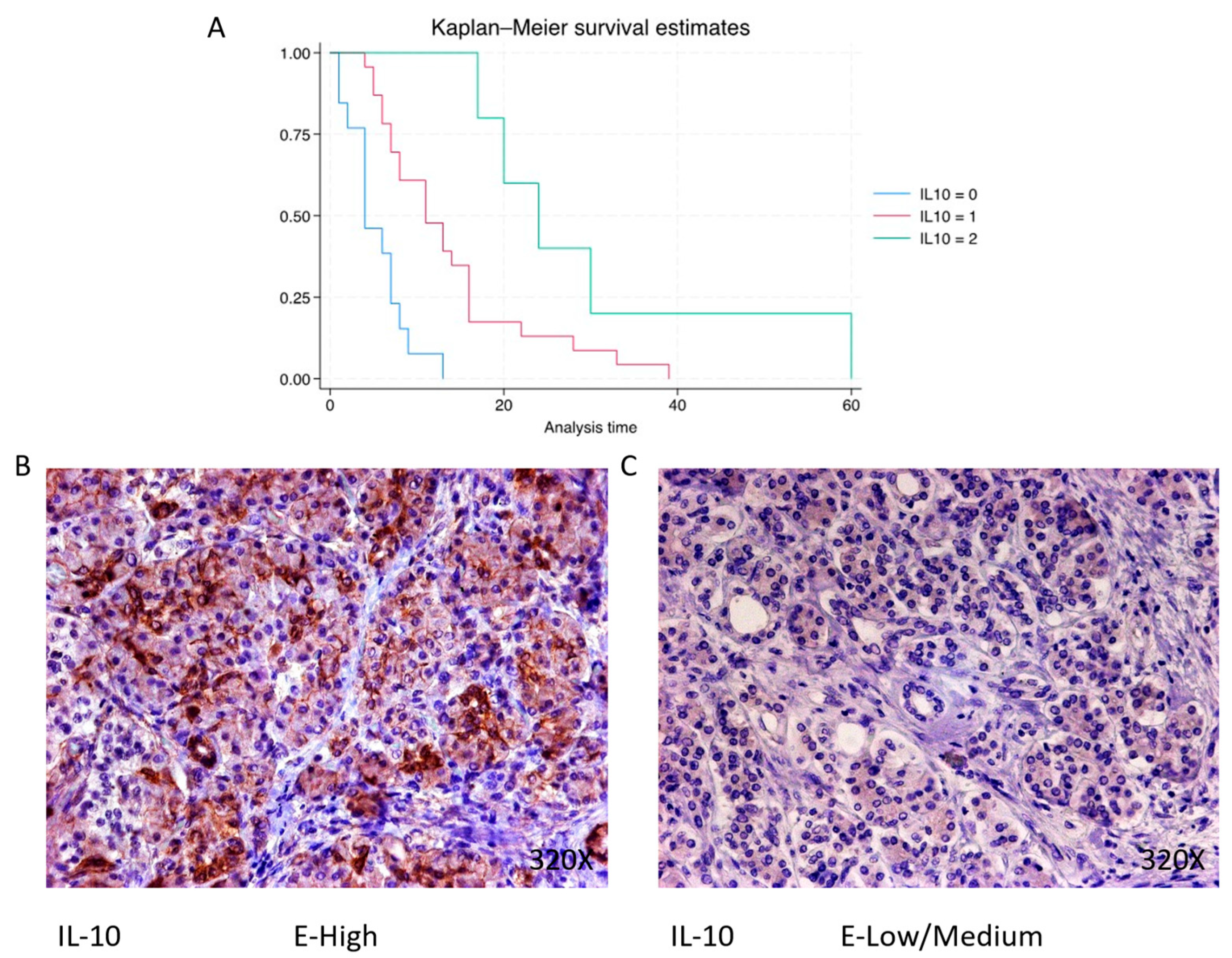 Cimb 46 00239 g013 Cimb 46 00239 g013