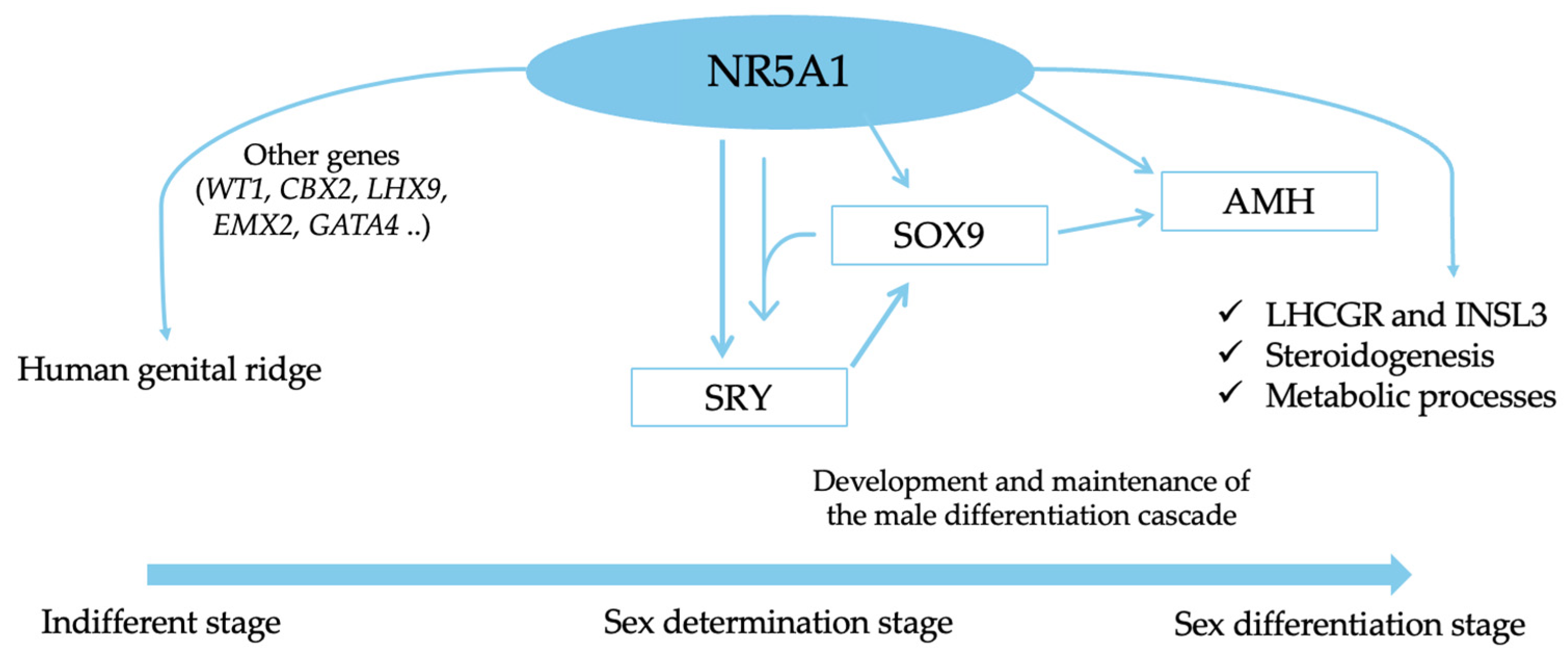 Cimb 46 00274 g001 Cimb 46 00274 g001