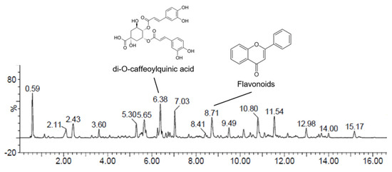 Ajania pacifica (Nakai) K. Bremer and Humphries Extract Limits MYC