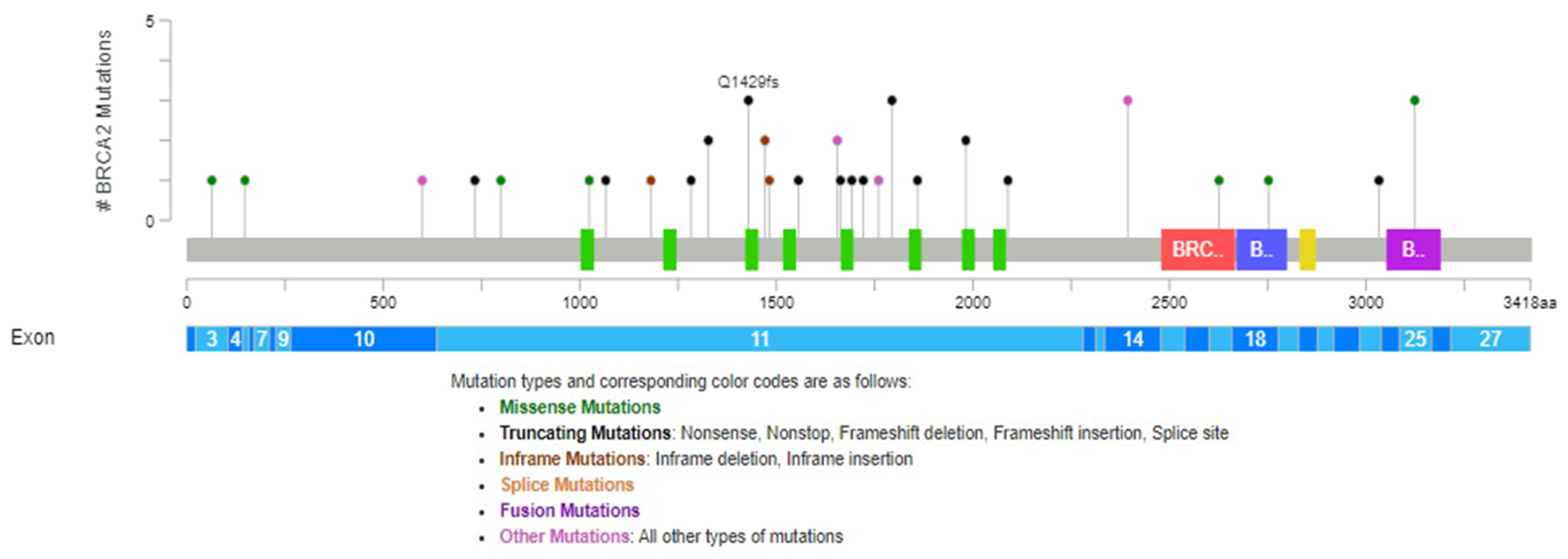 Cimb 46 00281 g002 Cimb 46 00281 g002