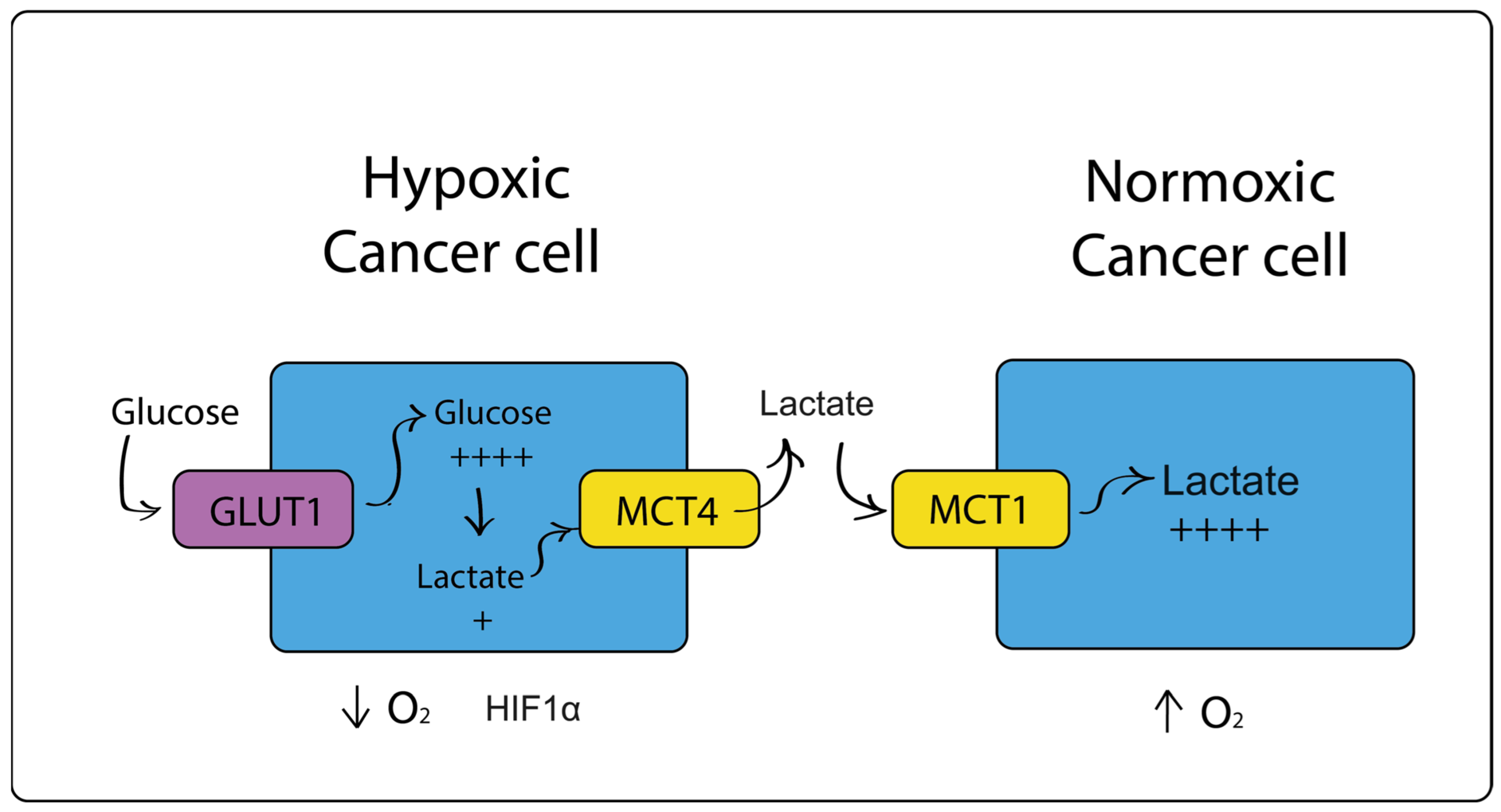 Cimb 46 00282 g002 Cimb 46 00282 g002