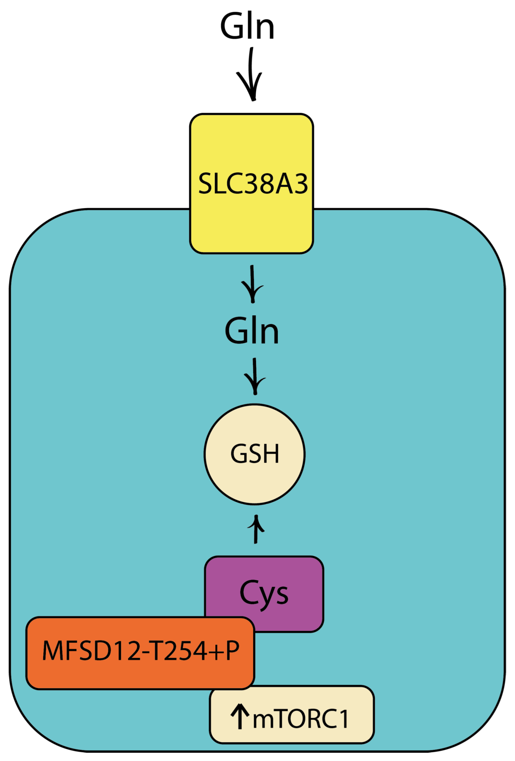 Cimb 46 00282 g003 Cimb 46 00282 g003