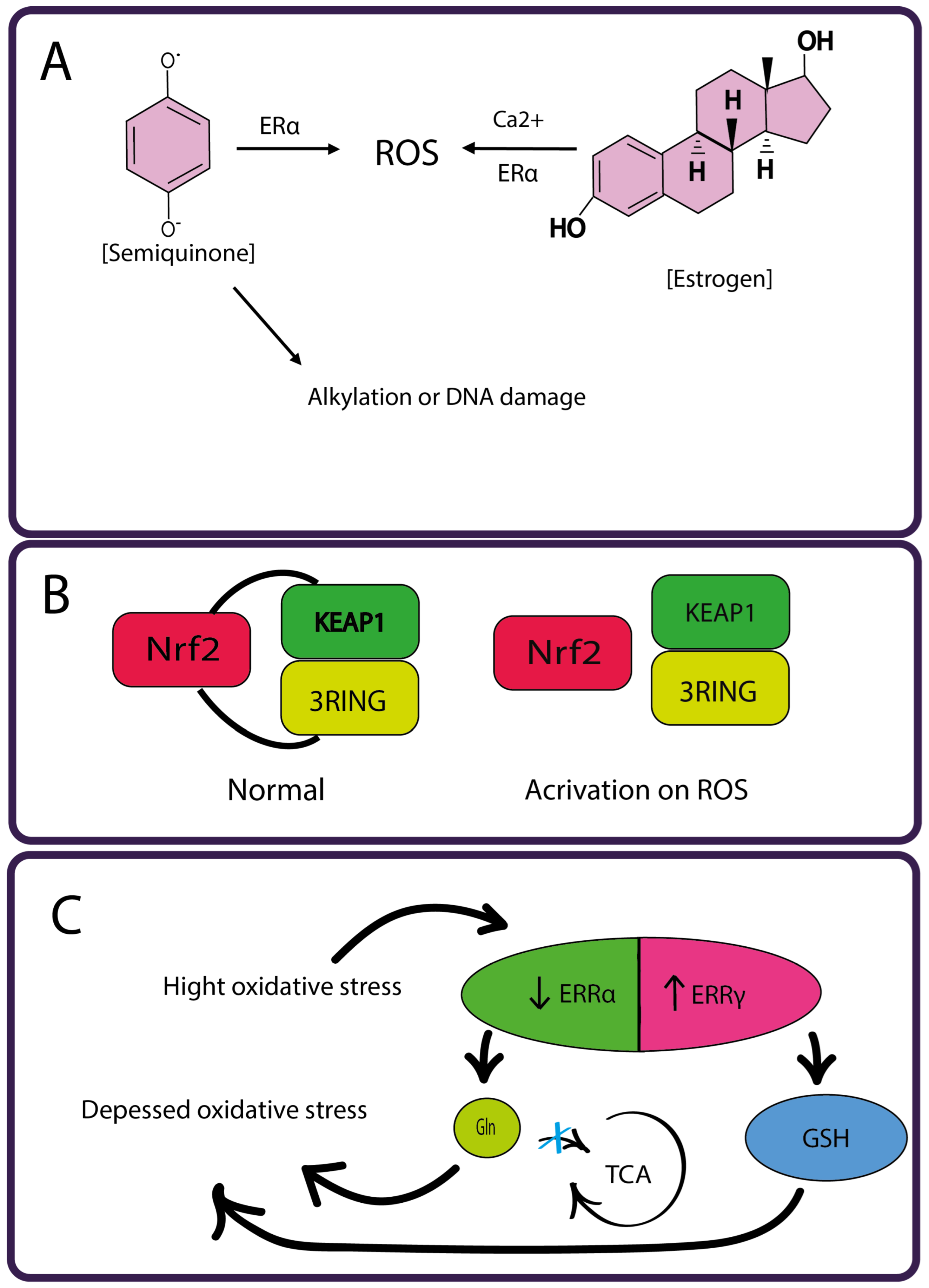 Cimb 46 00282 g007 Cimb 46 00282 g007