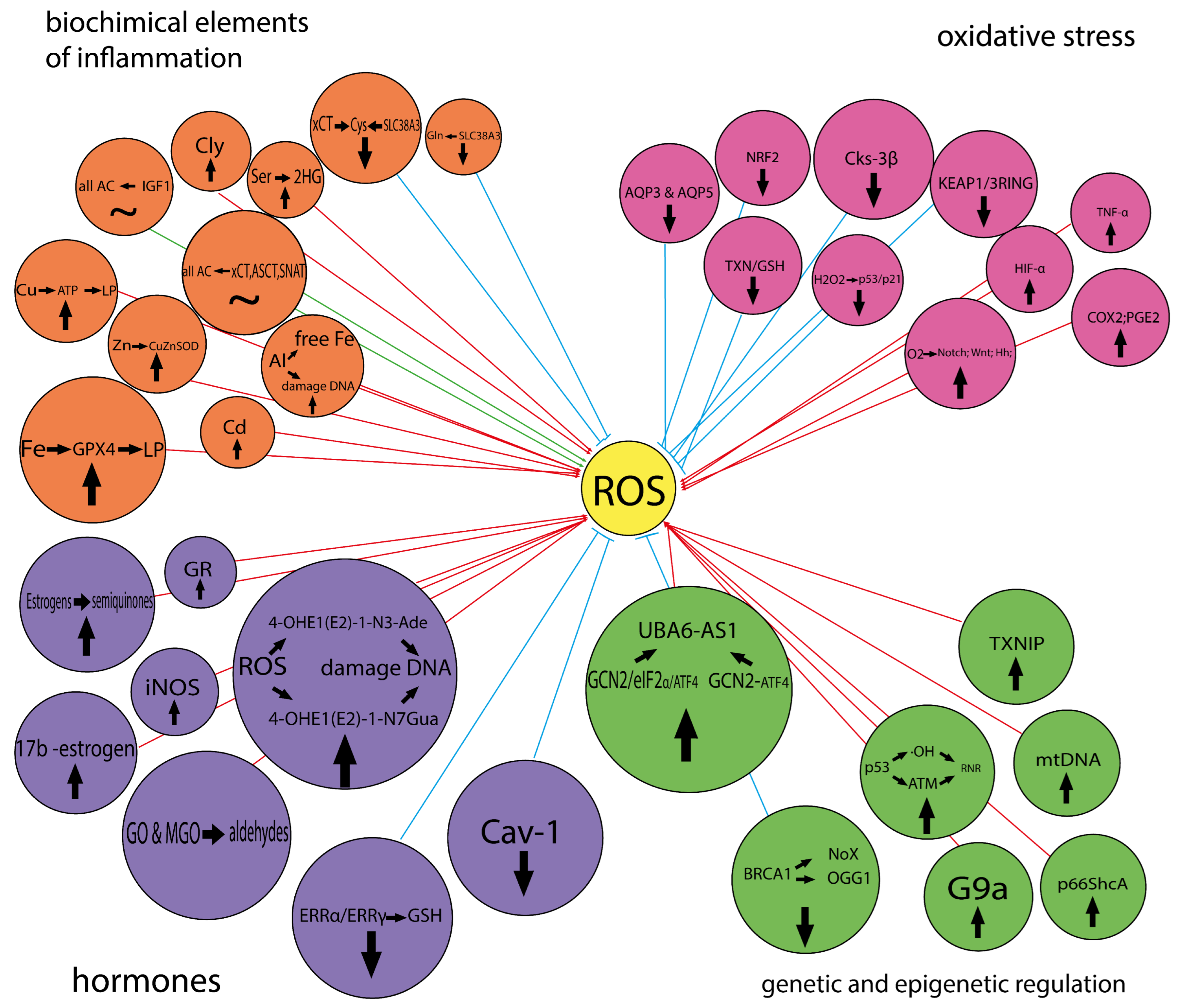 Cimb 46 00282 g010 Cimb 46 00282 g010