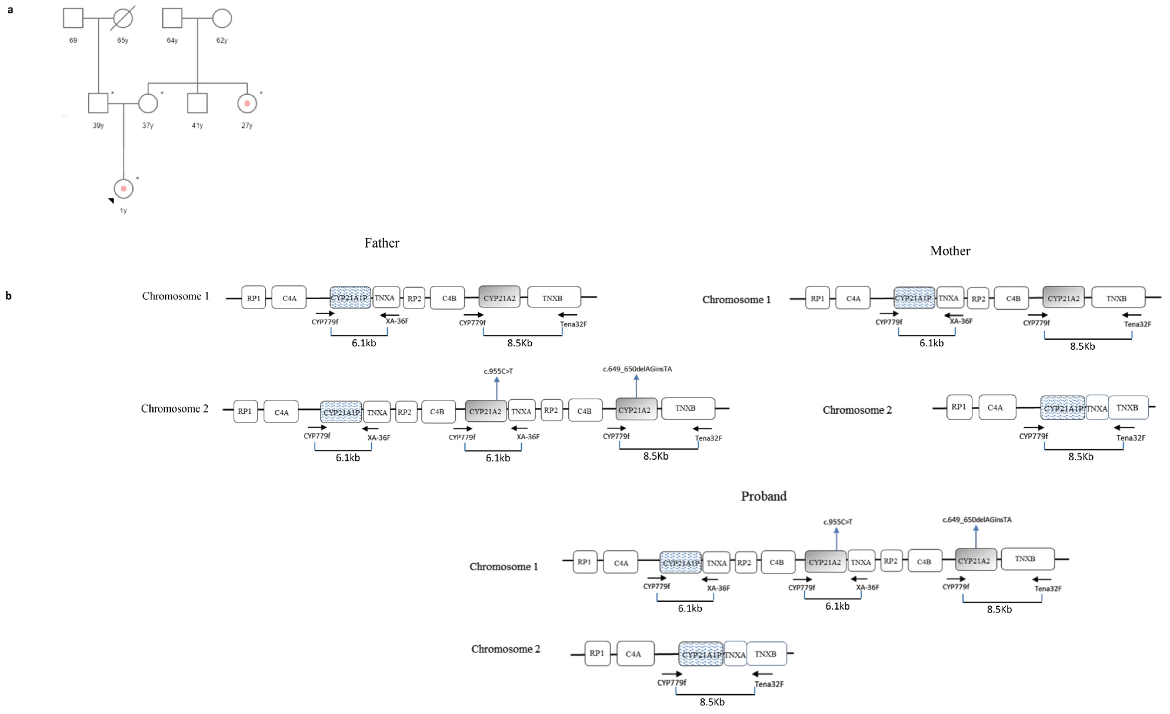 Cimb 46 00291 g001 Cimb 46 00291 g001