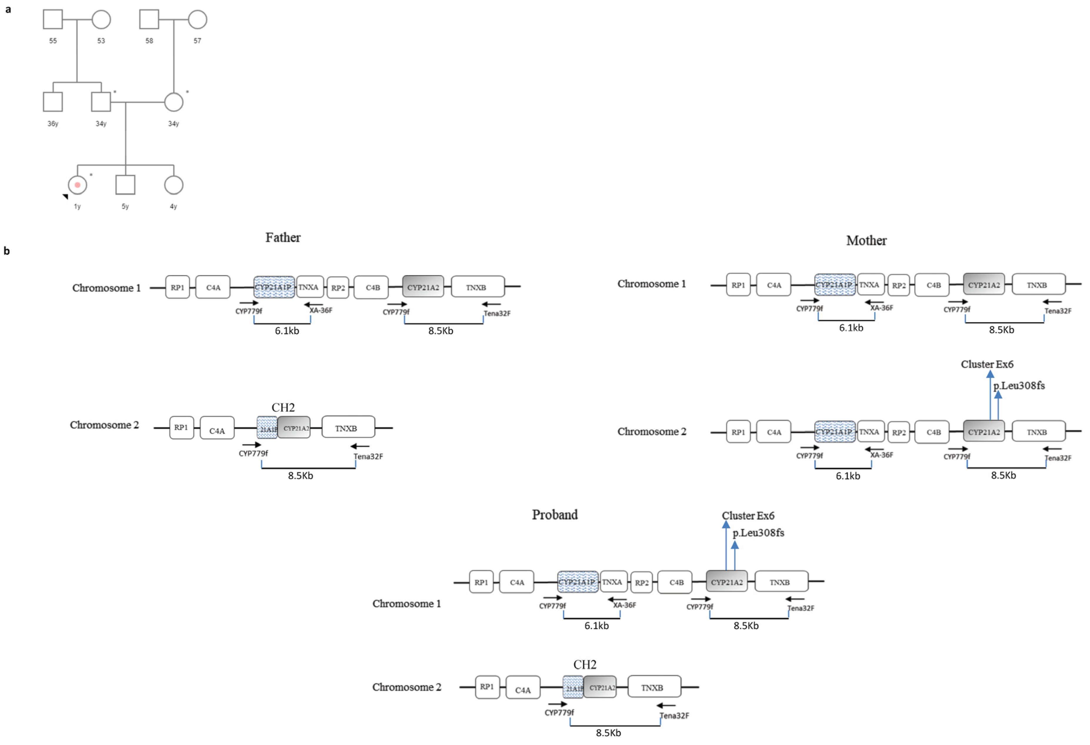 Cimb 46 00291 g002 Cimb 46 00291 g002