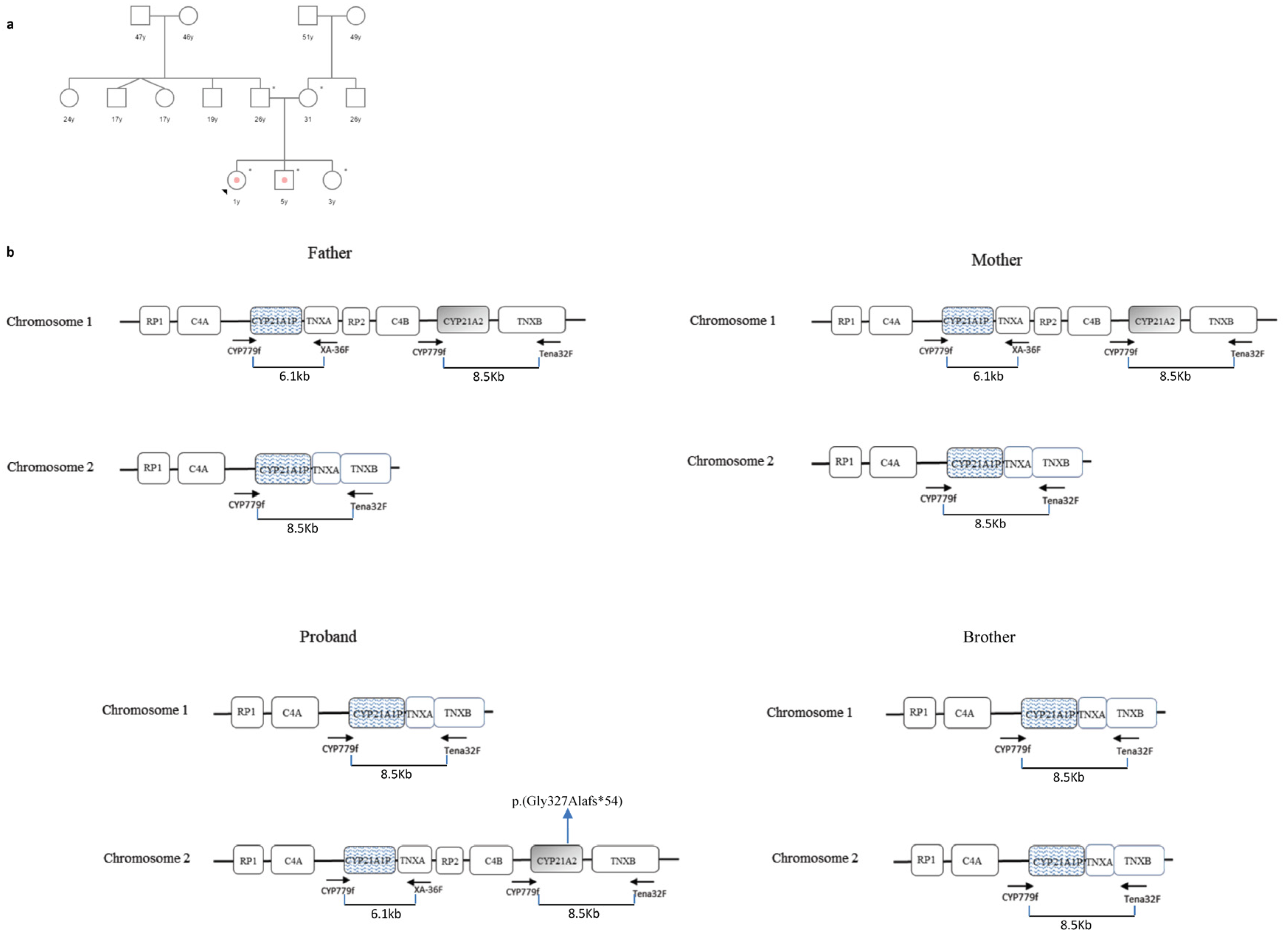 Cimb 46 00291 g004 Cimb 46 00291 g004