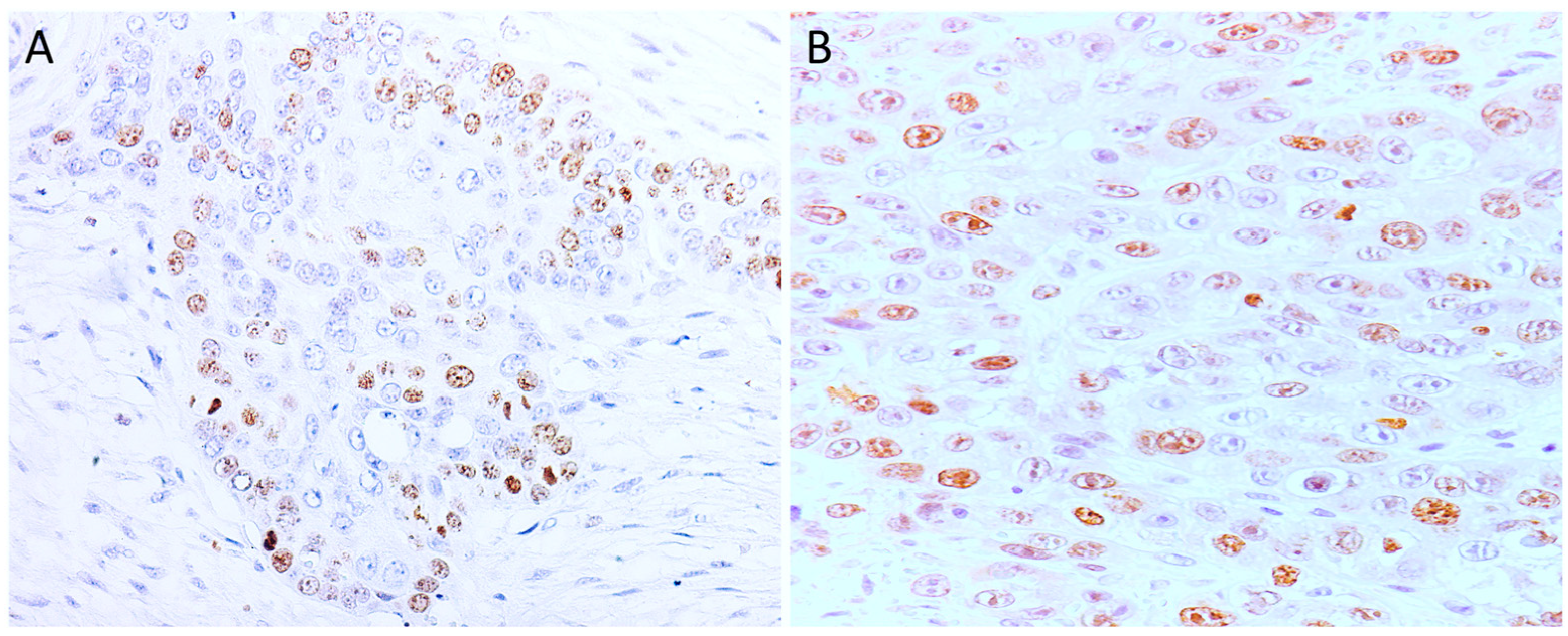 Cimb 46 00297 g003 Cimb 46 00297 g003
