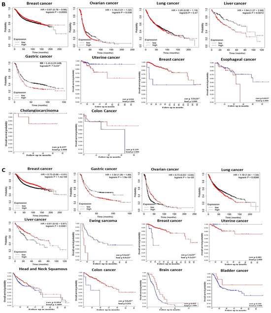 Multiomics Analysis of the PHLDA Gene Family in Different Cancers and ...