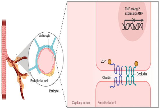 glutathione cause headaches Does Glutathione induce headaches after IV Therapy? main image 0