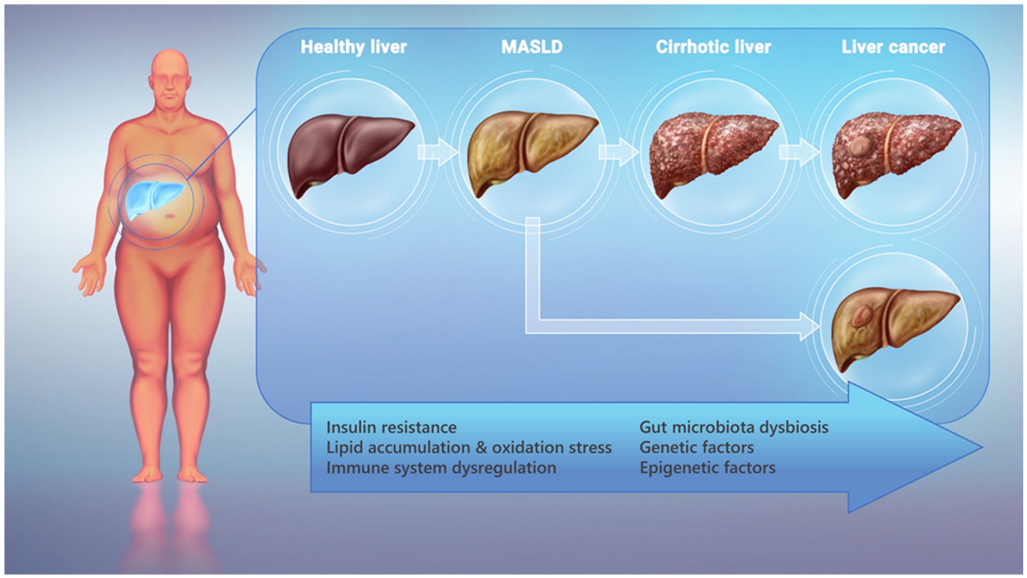 Cimb 46 00356 g001 Cimb 46 00356 g001